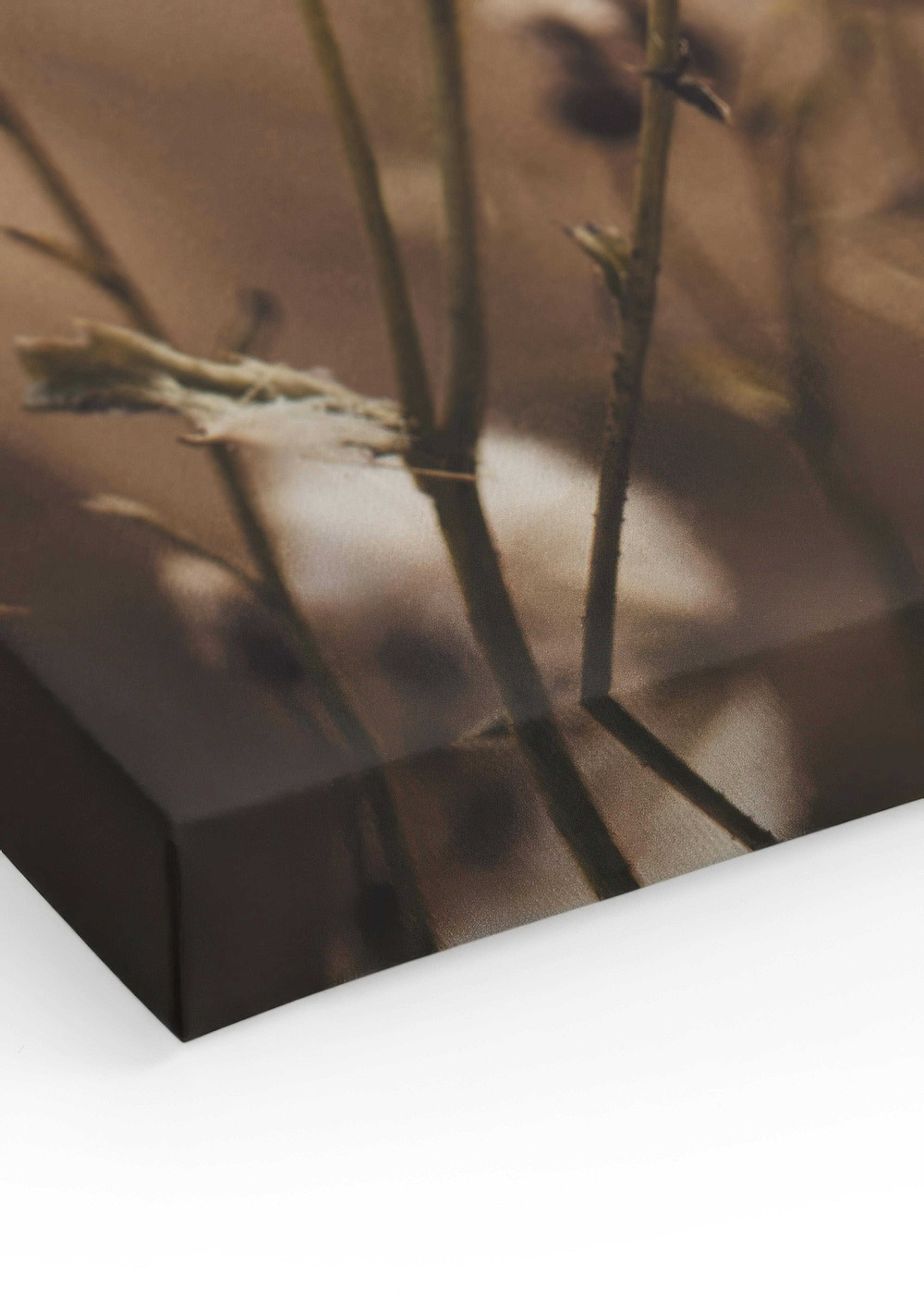 Product image: 3