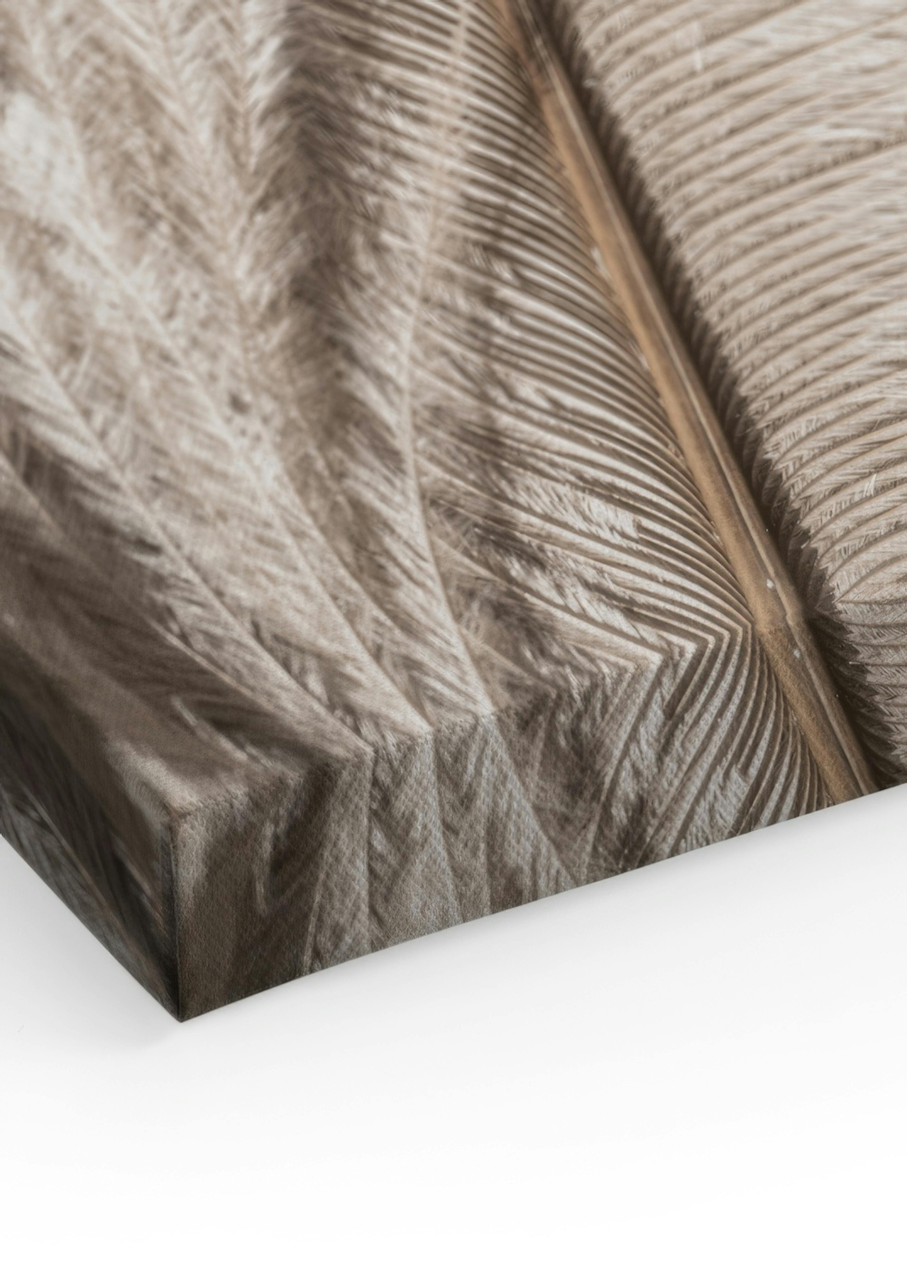 Feather Close Up Quadro em tela