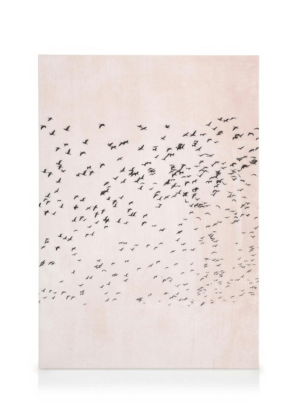 Boris Draschoff / Kubistika - Moving On Toile (50x70 cm - Cadre noir)  Animaux sauvages