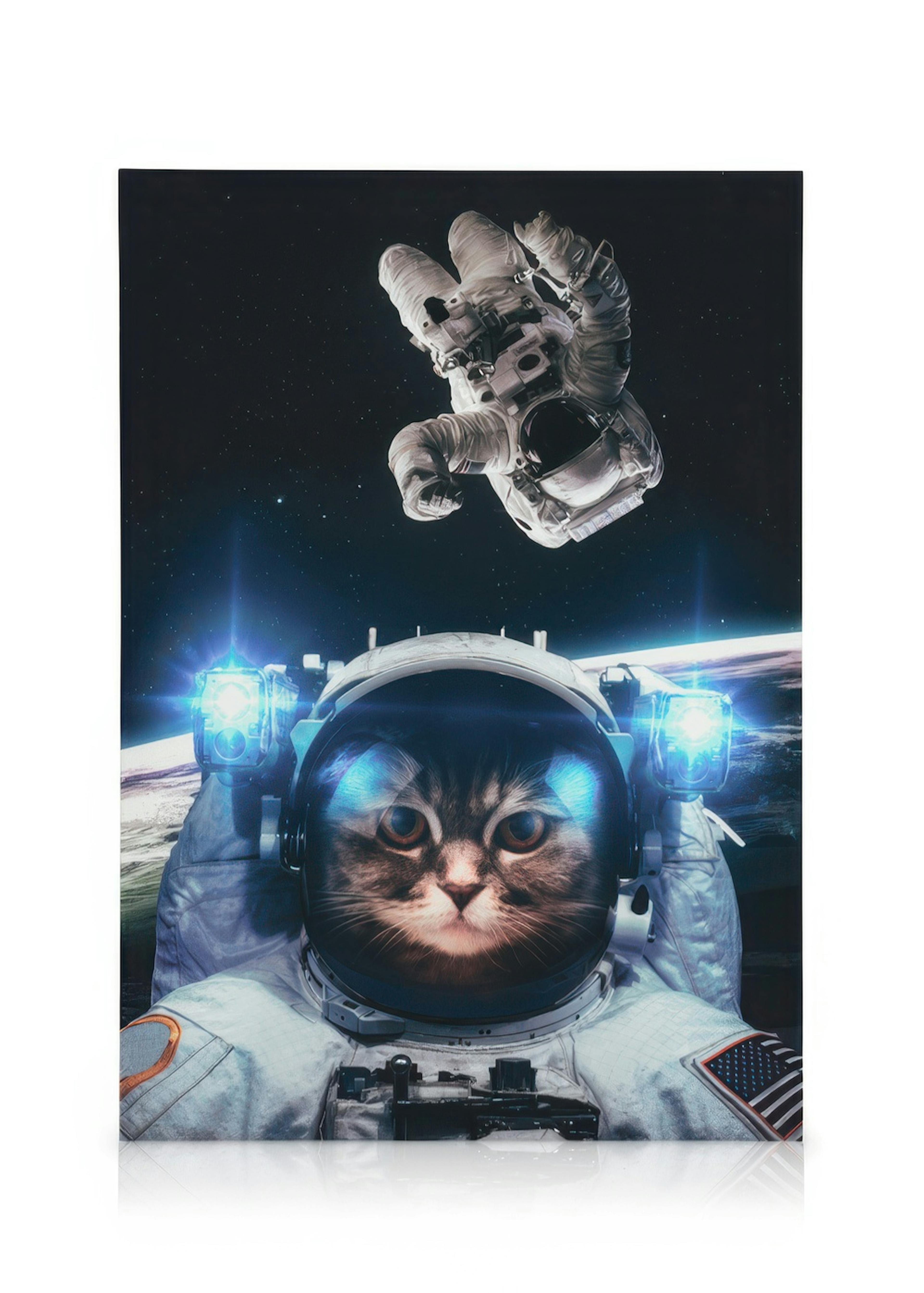 Cat in Space Lienzo 0