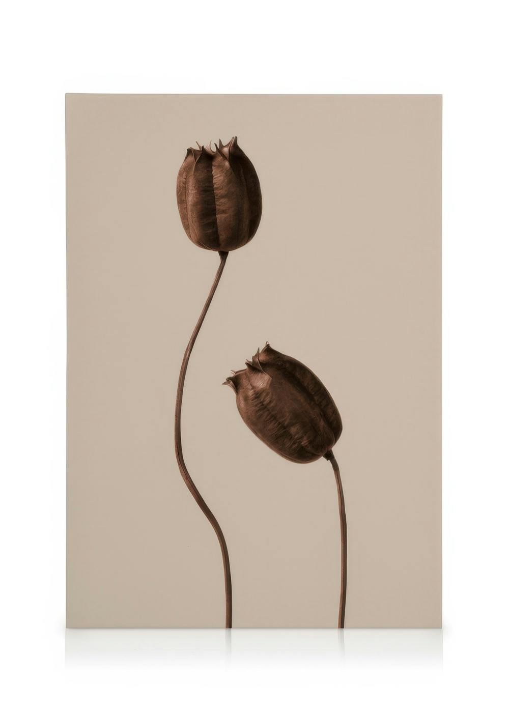 To brune blomsterknopper med tynne stilker på en lys beige bakgrunn, minimalistisk naturkunst.