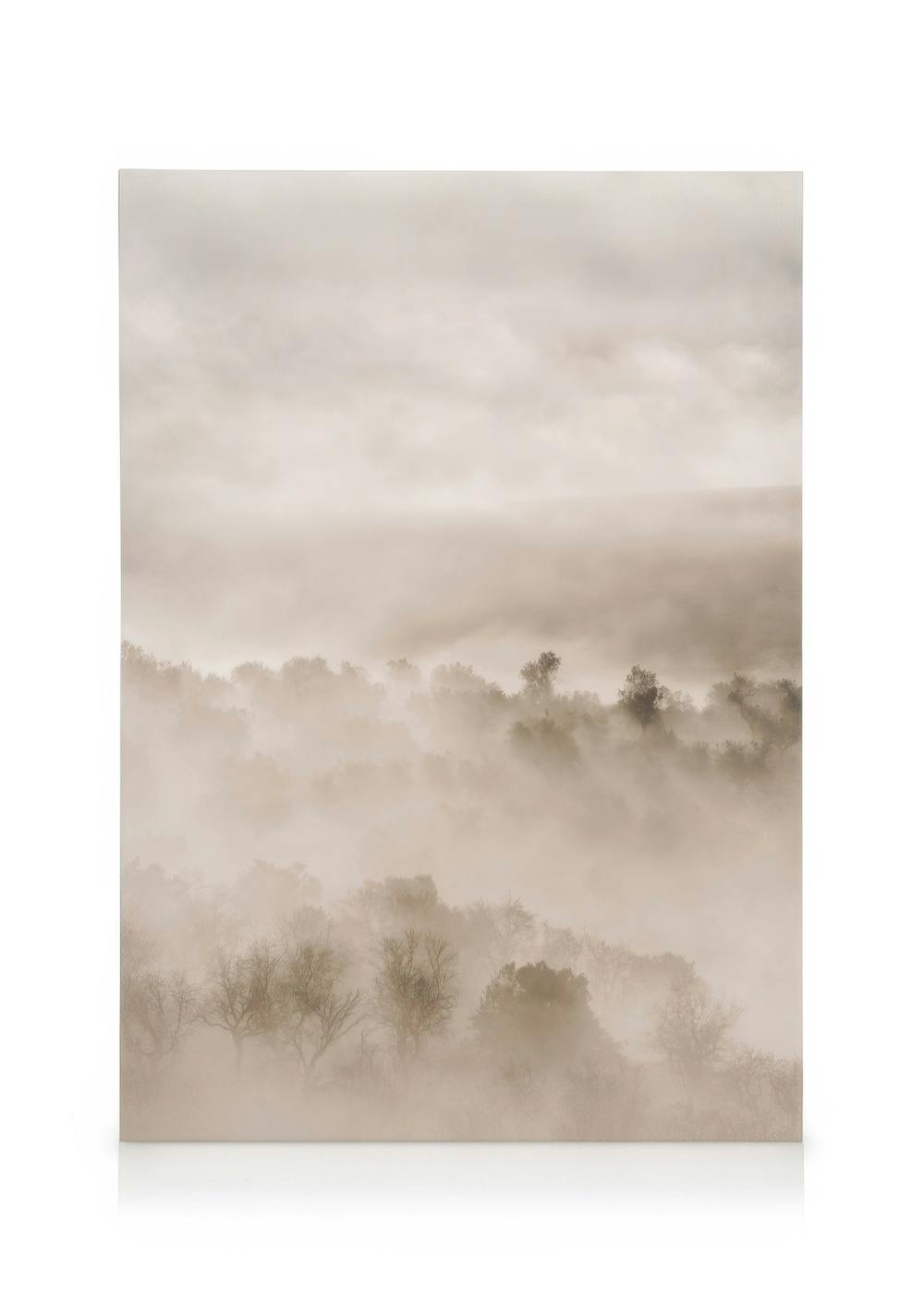 Foggy landscape canvas with trees partially obscured by thick mist and a cloudy sky, in sepia tones.