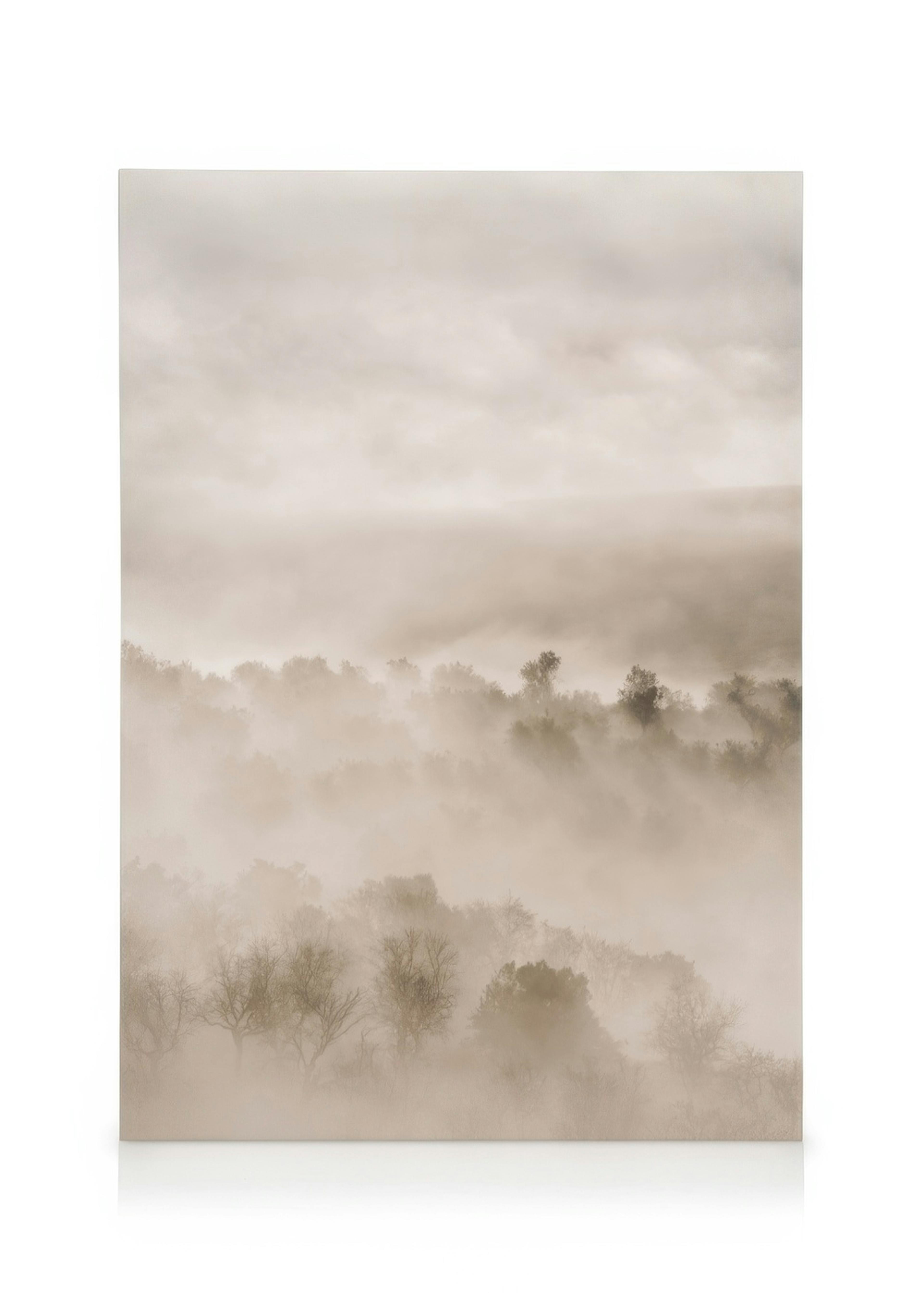 Leinwandbild mit nebelverhangener Waldlandschaft, mystische Atmosphäre, sanfte Sepia-Töne, Naturmotiv.