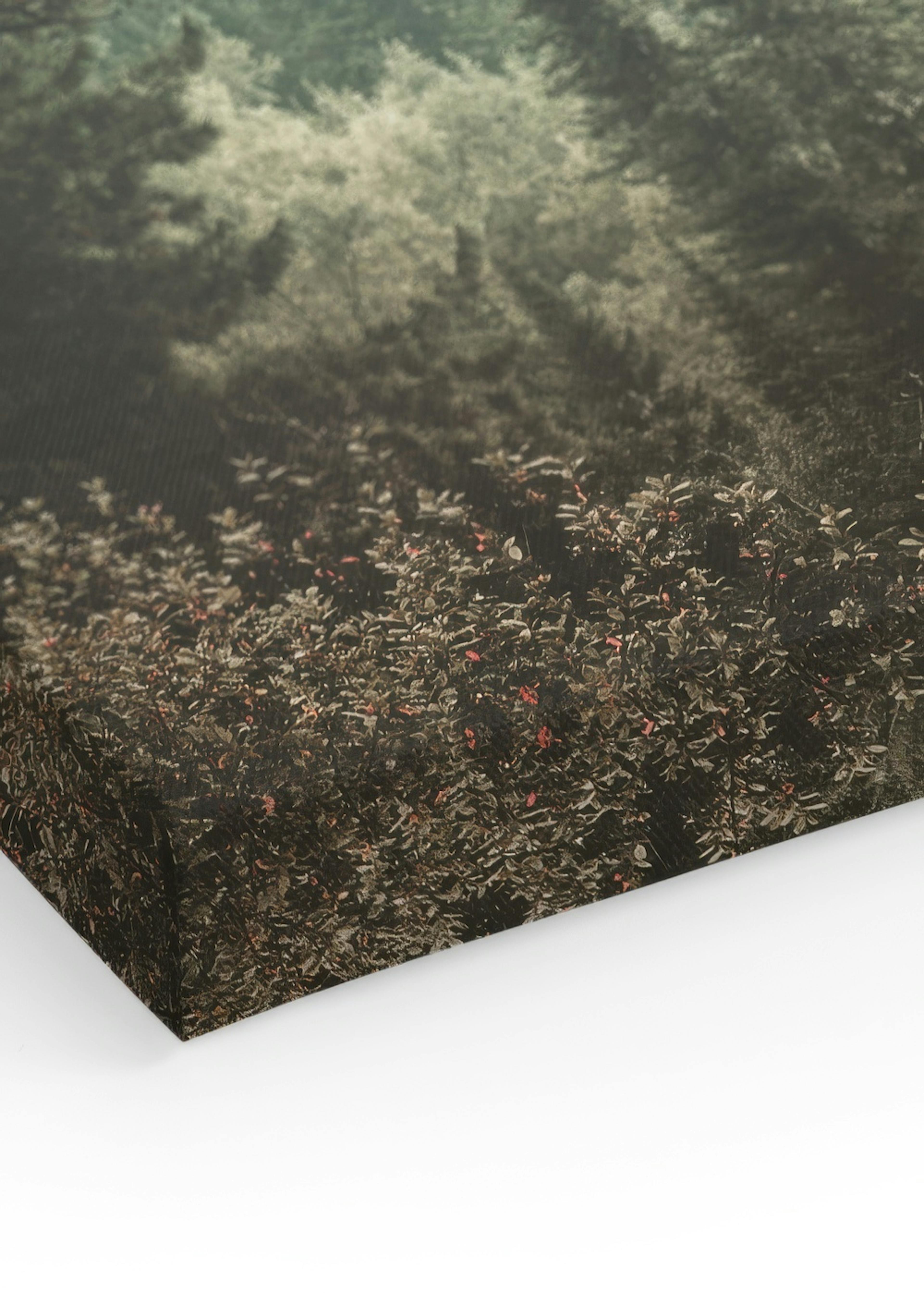 Product image: 3