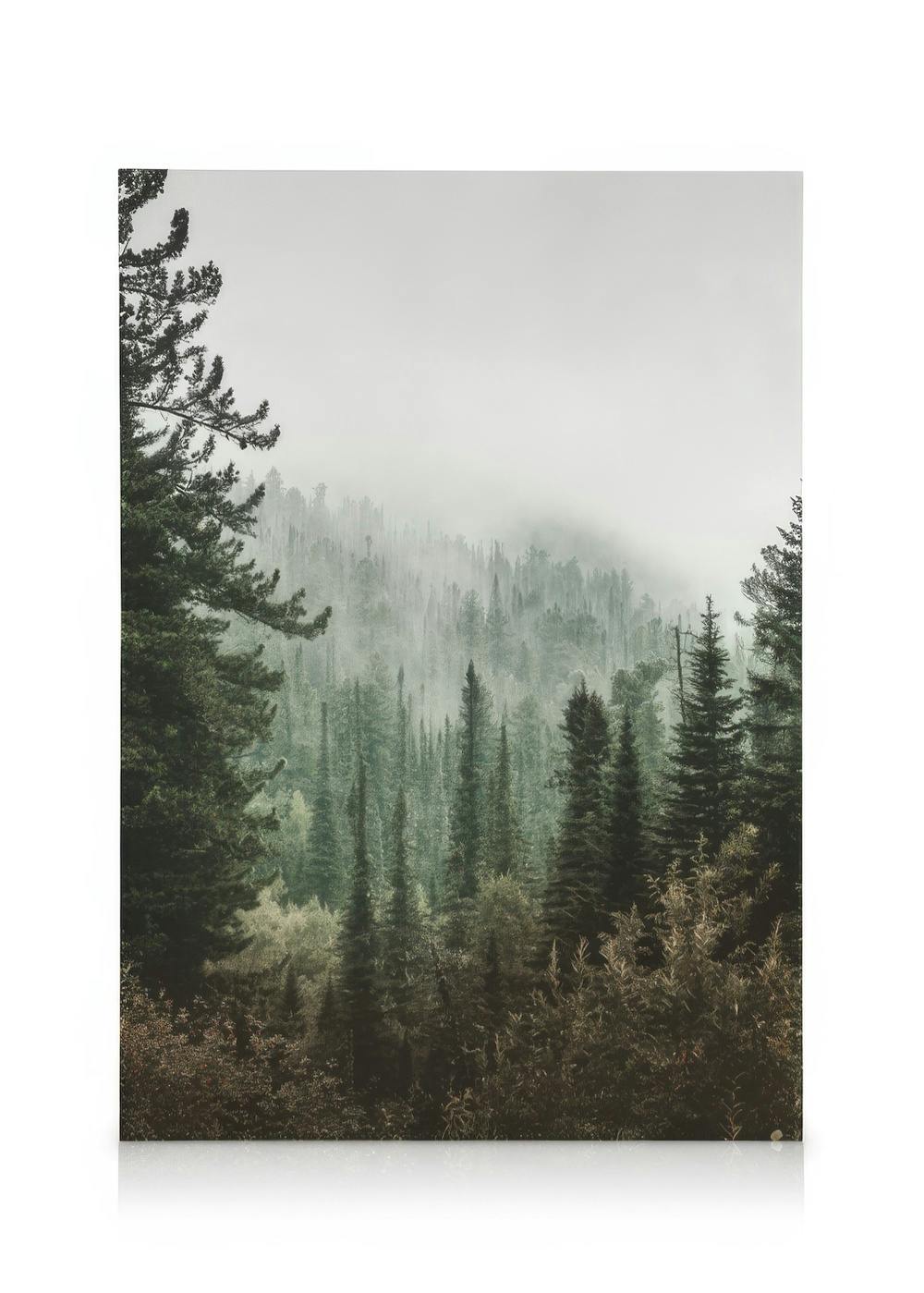 Canvas Prints Deep Green Forest Canvas print (50x70 cm - Oak Frame)