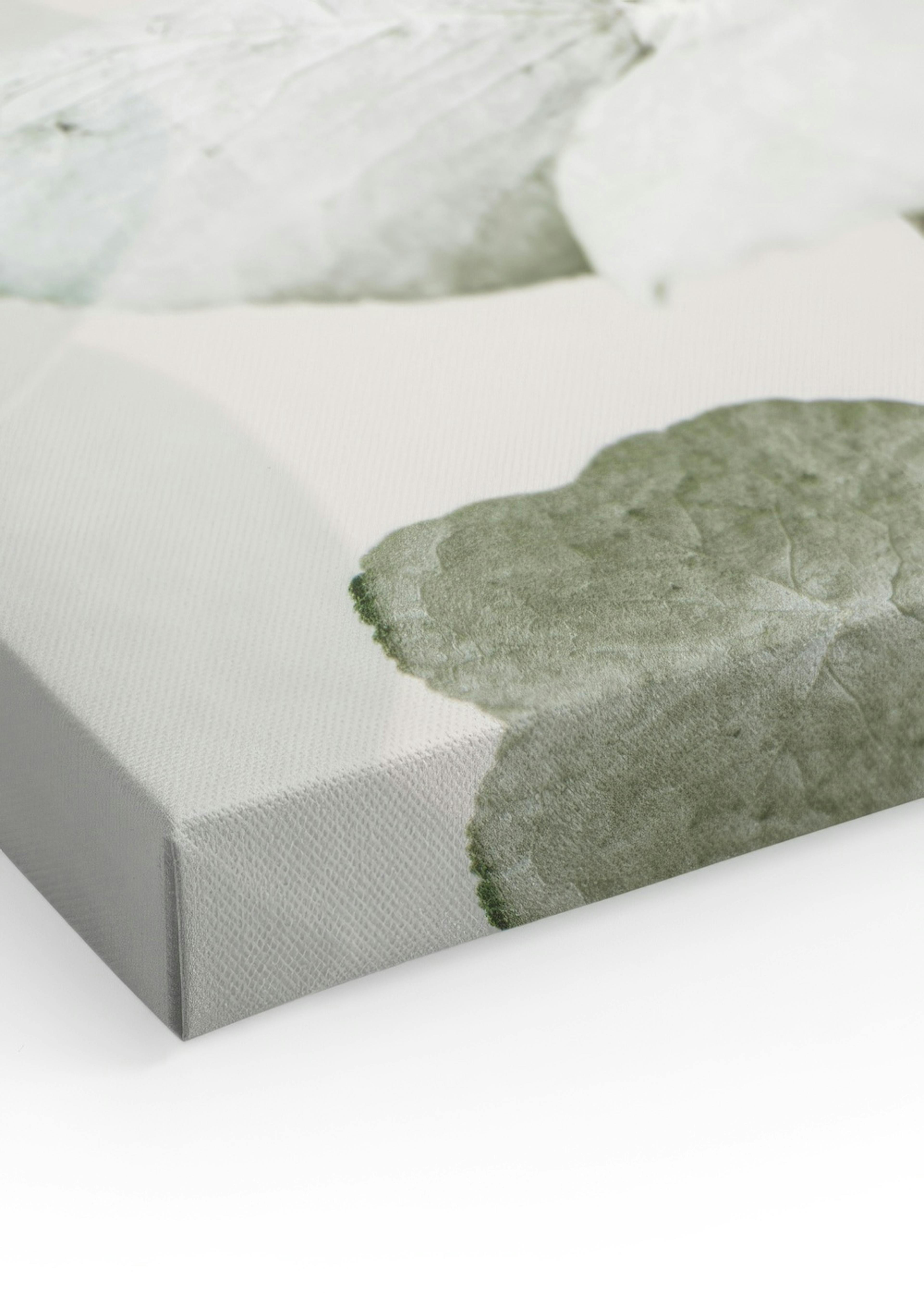 Eucalyptus Shades No2 Obraz na płótnie