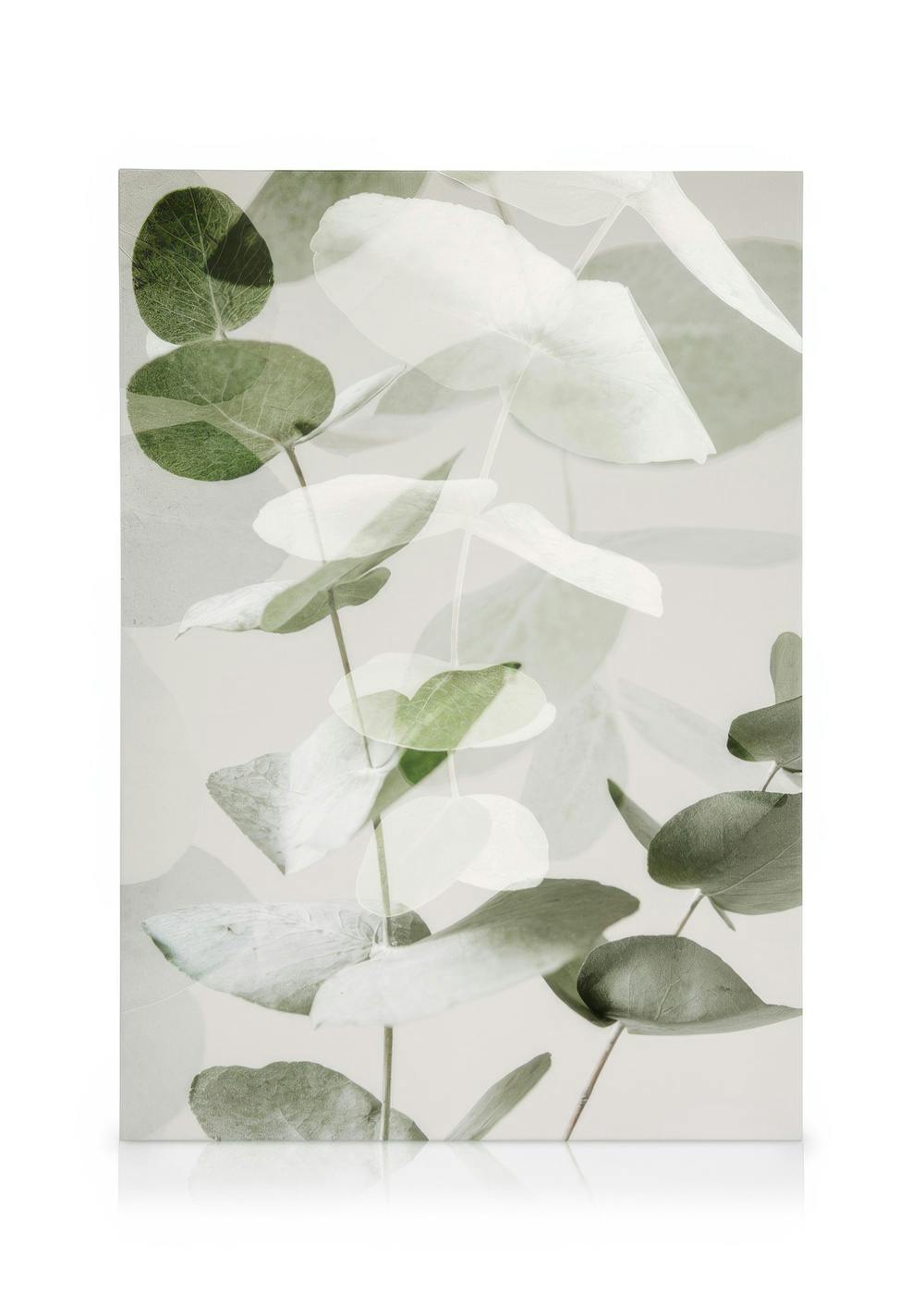 Lienzo botánico con ramas de eucalipto, hojas verdes y superpuestas que crean sombras suaves. Arte floral.