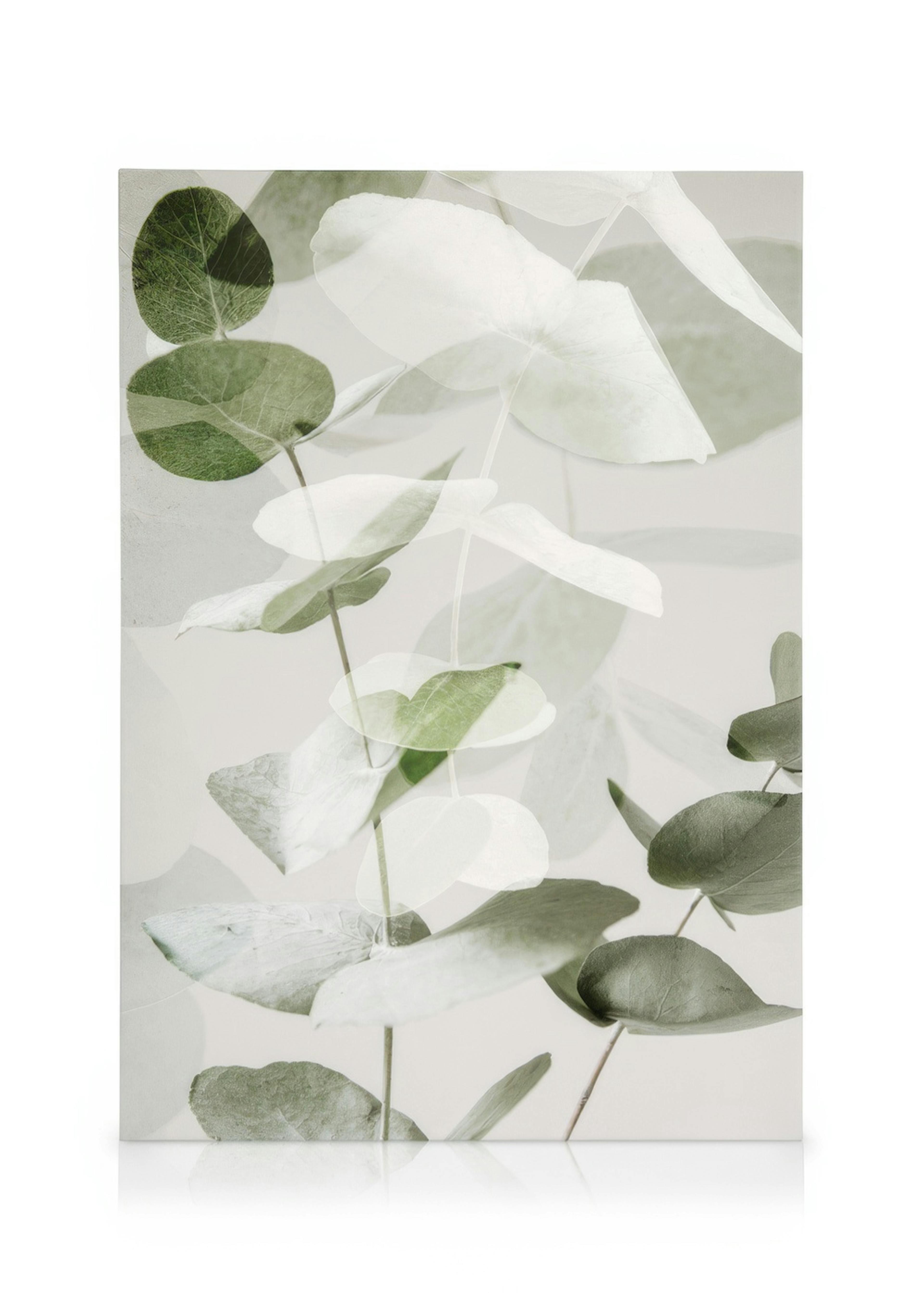 Eucalyptus Shades No2 Canvas print 0