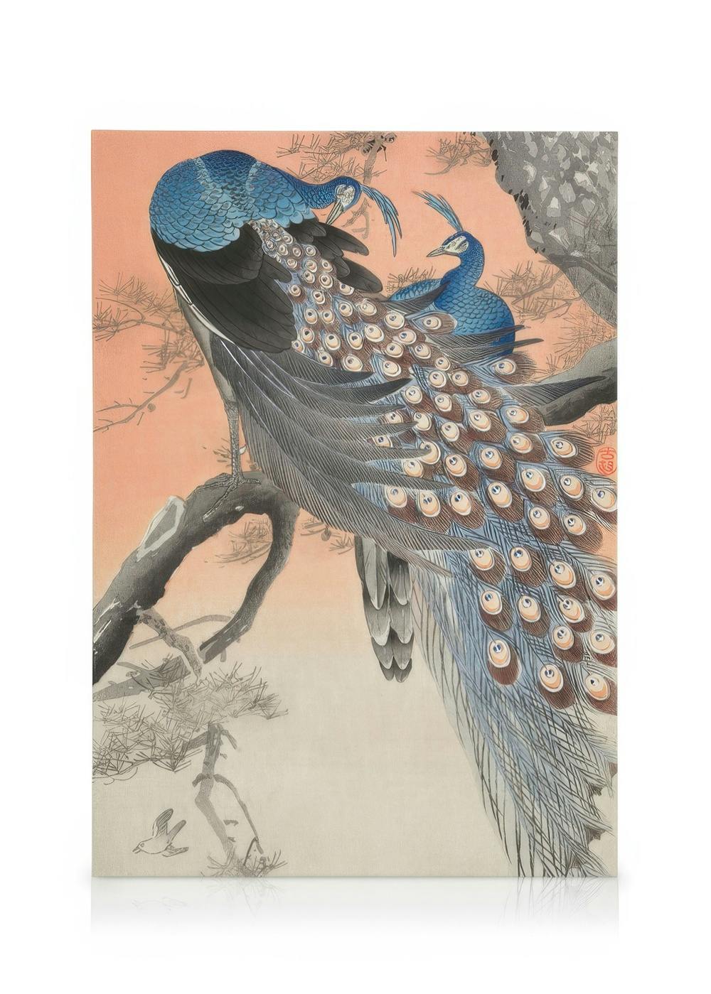 Canvastavlor Ohara Koson - Two Peacocks on Tree Branch Canvastavla (50x70 cm - Ekram)