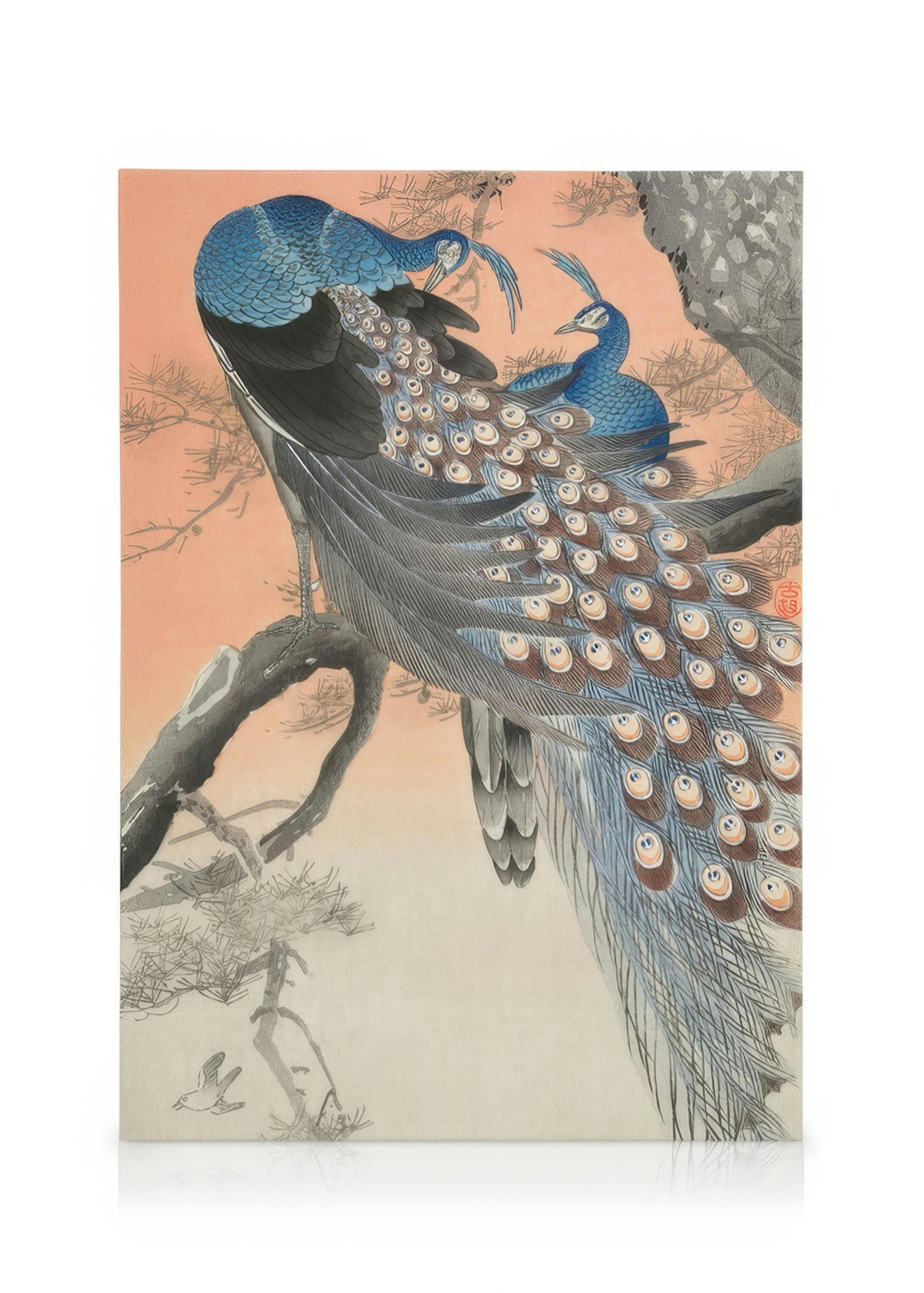Ohara Koson - Two Peacocks on Tree Branch Canvas 0