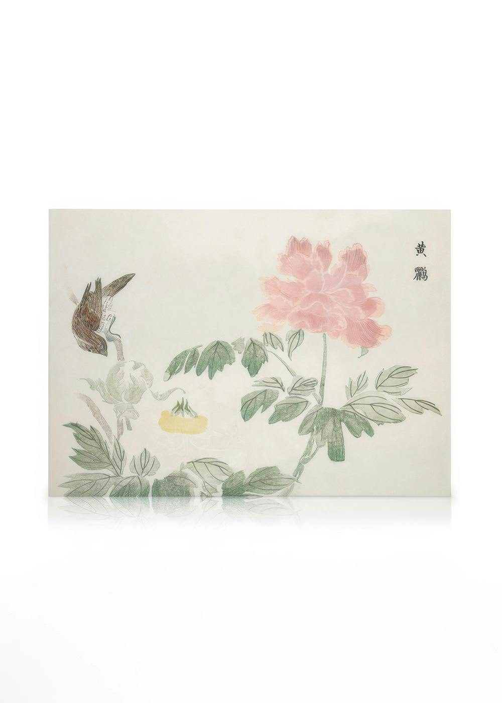 Chinese Peony canvas print featuring a brown and white bird on a green branch with pink flowers and yellow fruit, white backgrou
