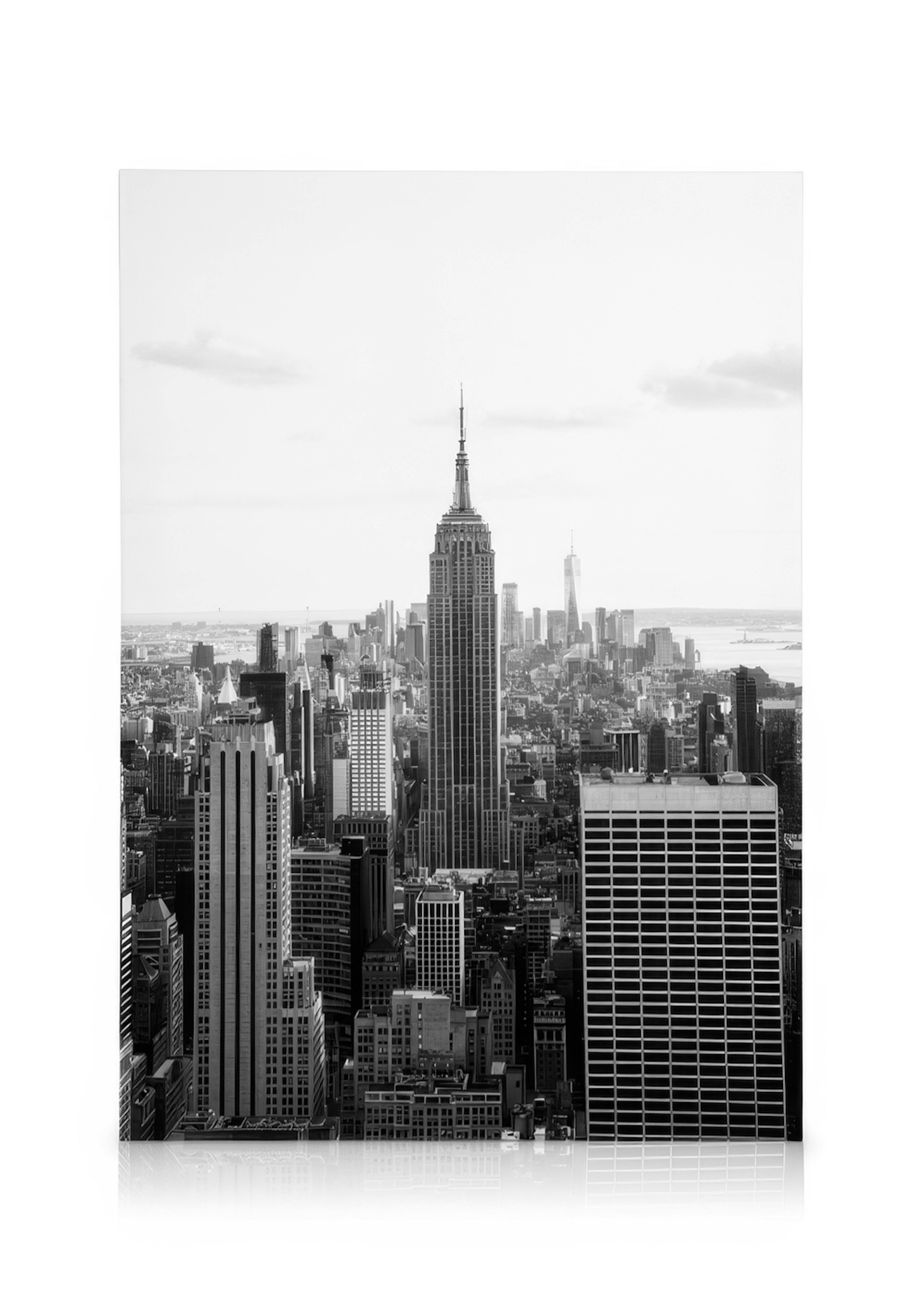 Skyline Canvas 0