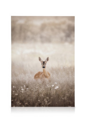 Tableau Sur Toile Cerf Renne 70x50cm - Décoration Murale Moderne Pour Salon, Chambre Ou Cuisine, Impression Haute Qualité