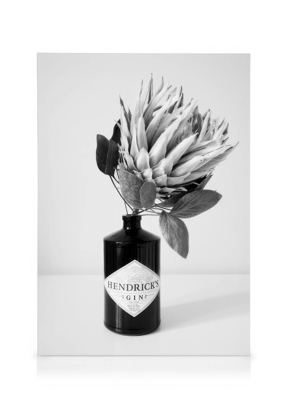 Toile noir et blanc, fleur et feuilles dans une bouteille de gin. Typographie vintage sur létiquette.