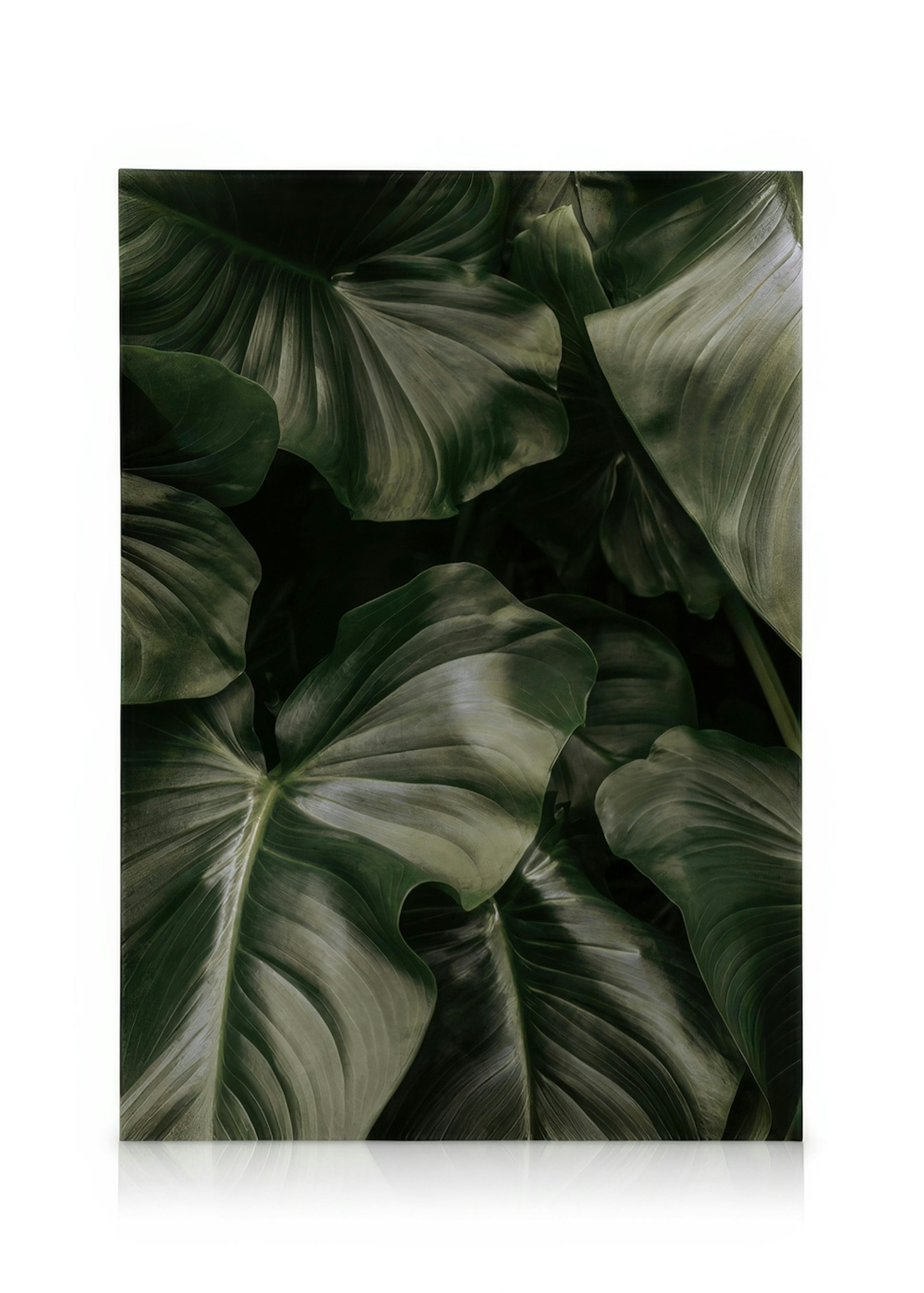 Deep Green Leaves Lienzo 0