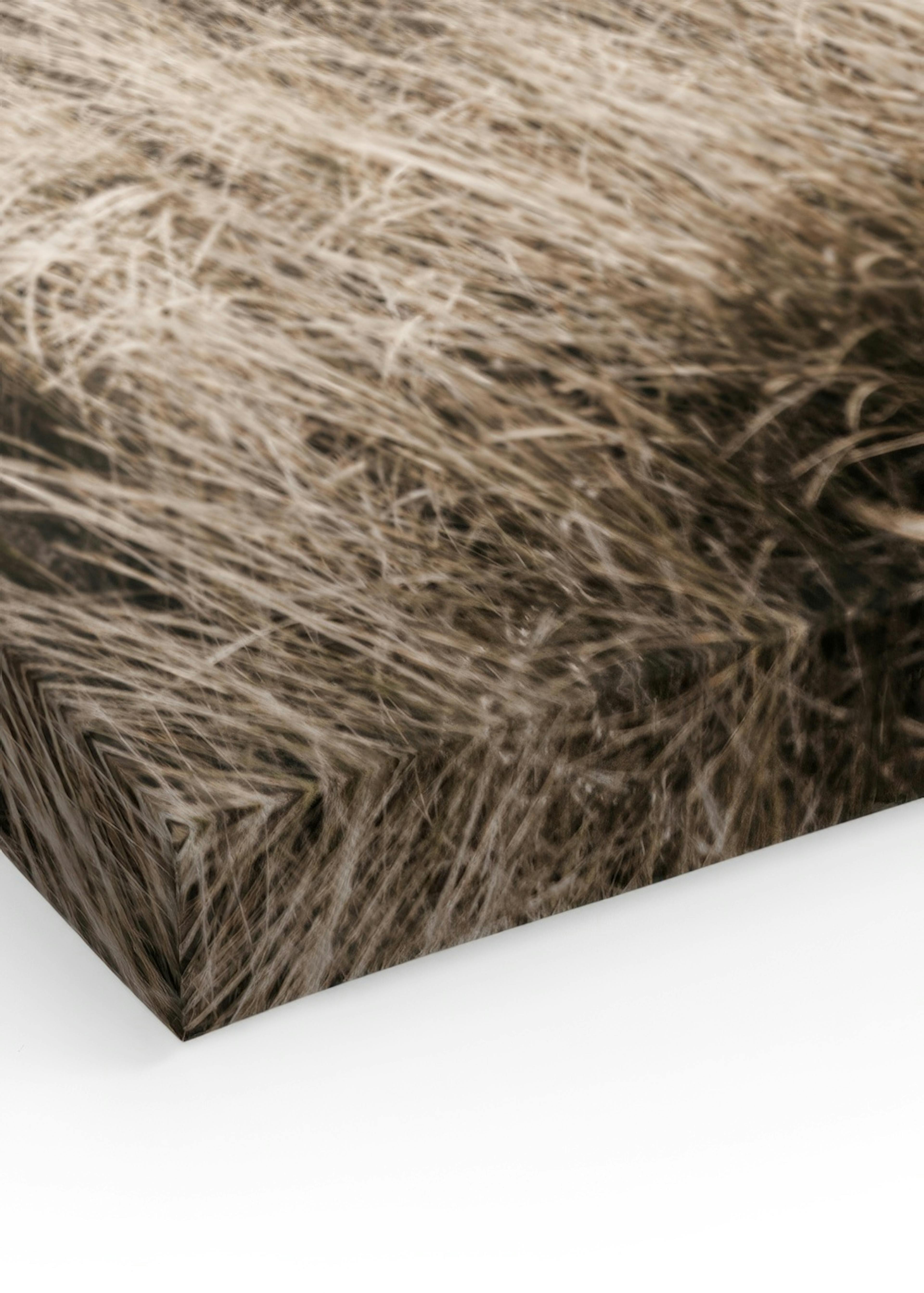 Product image: 3