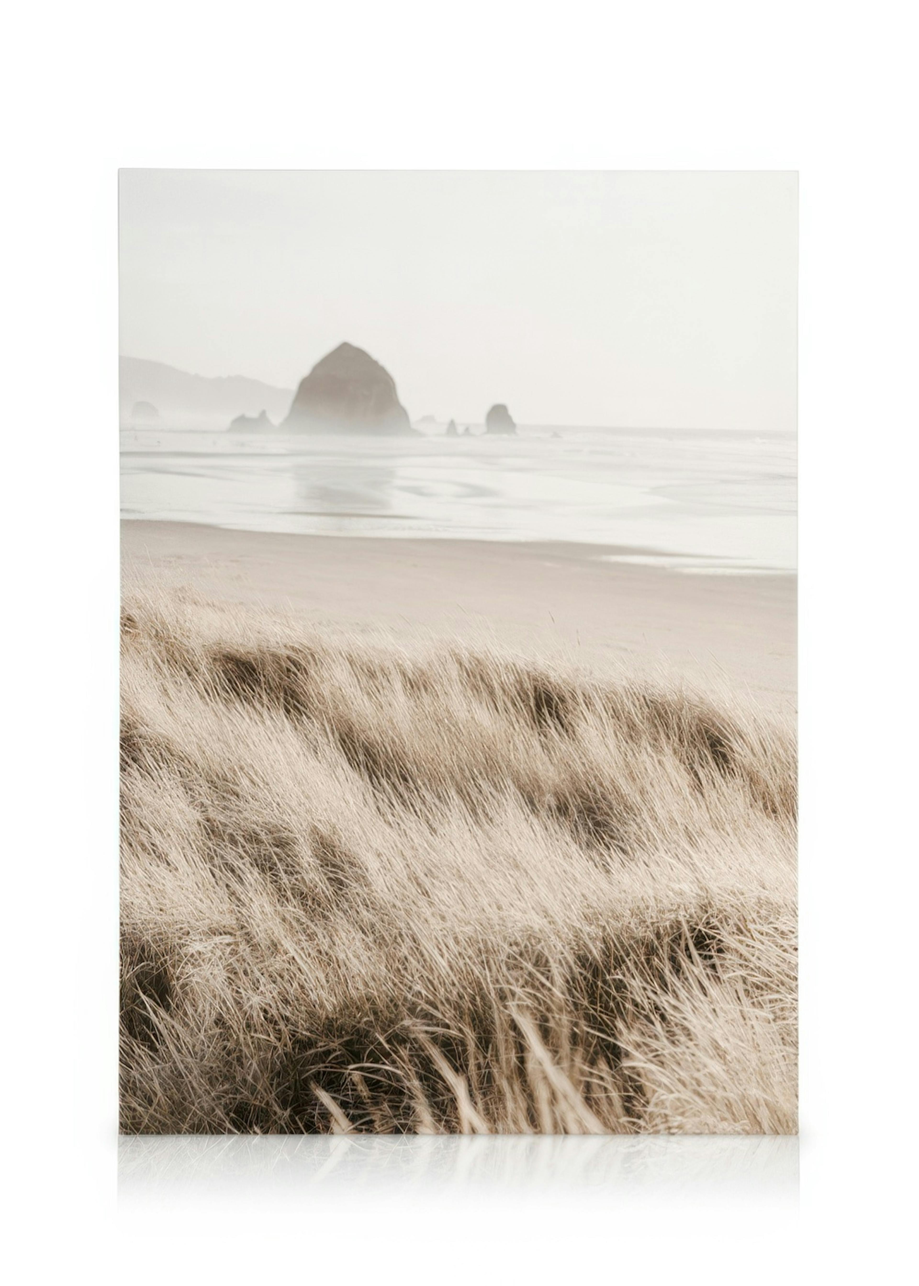 Morning Beach Canvas 0