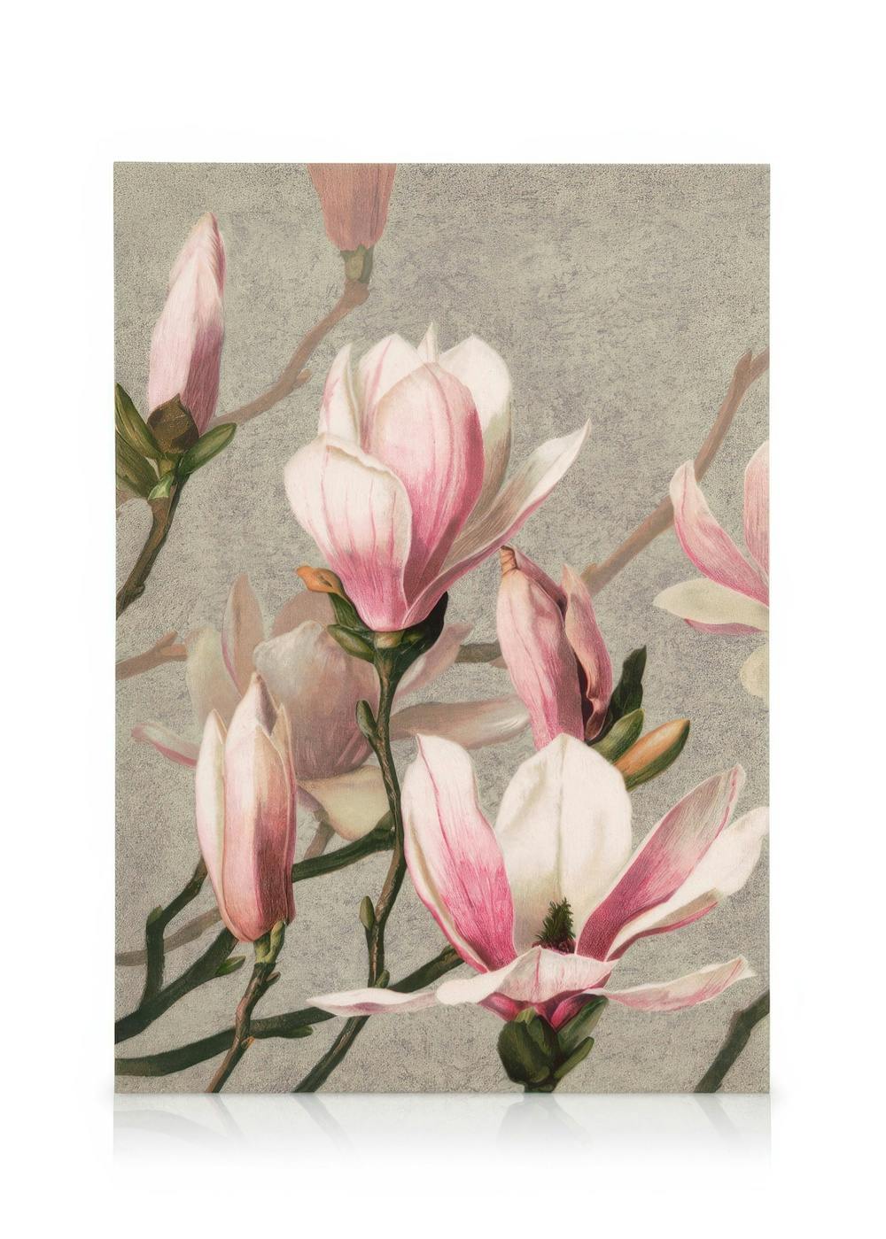 Canvas Prints L. Prang & Co. - Magnolia Canvas print (30x40 cm - Oak Frame)