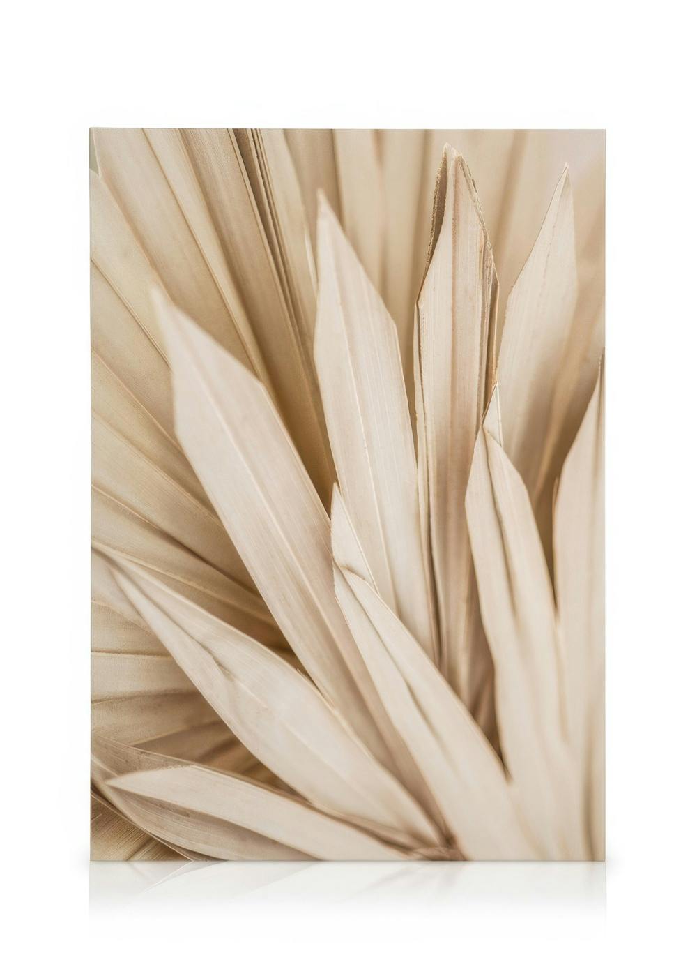 Canvas Prints Dried Palm Leaves Canvas print (30x40 cm)