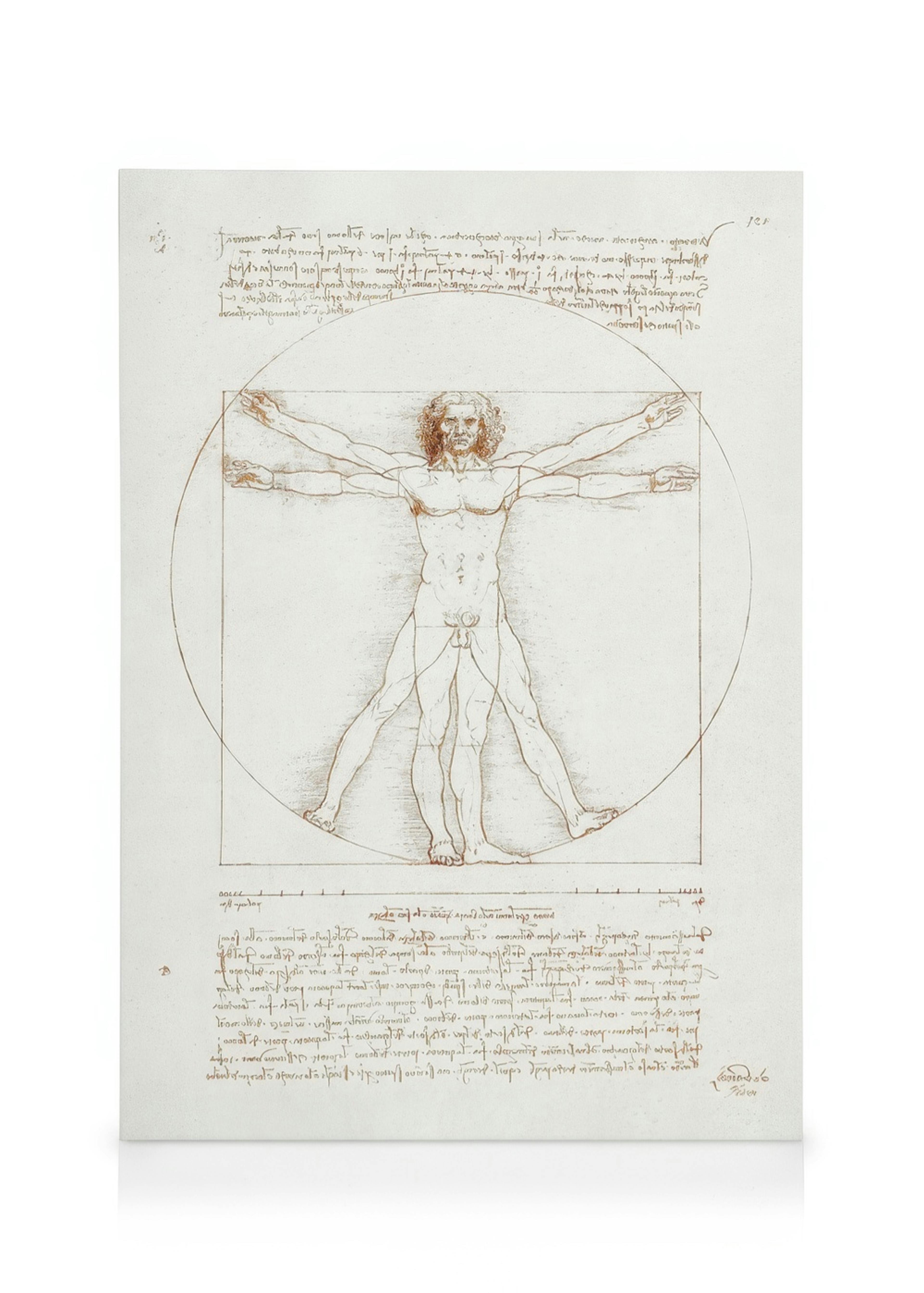 Leonardo Da Vinci - Vitruvian Man Canvas 0