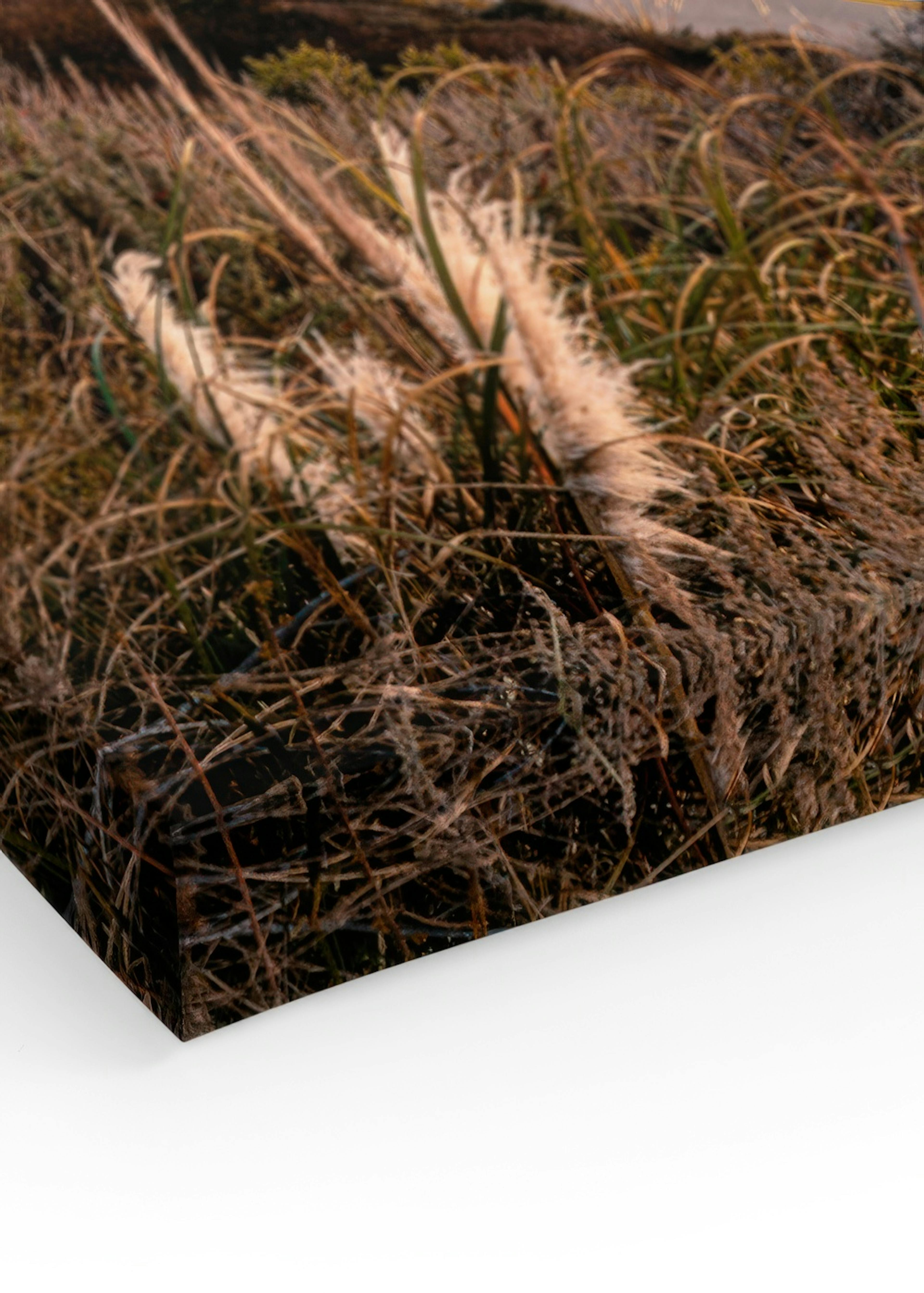 Product image: 3
