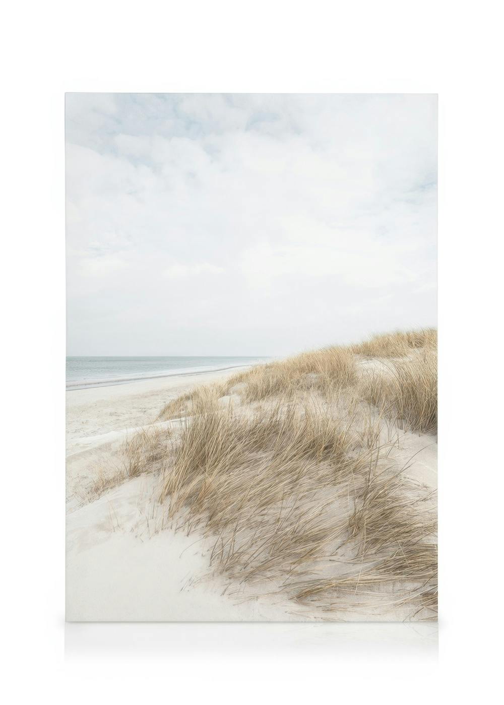Obrazy na płótnie Cape Cod Dunes Obraz na płótnie (50x70 cm - Czarna ramka)