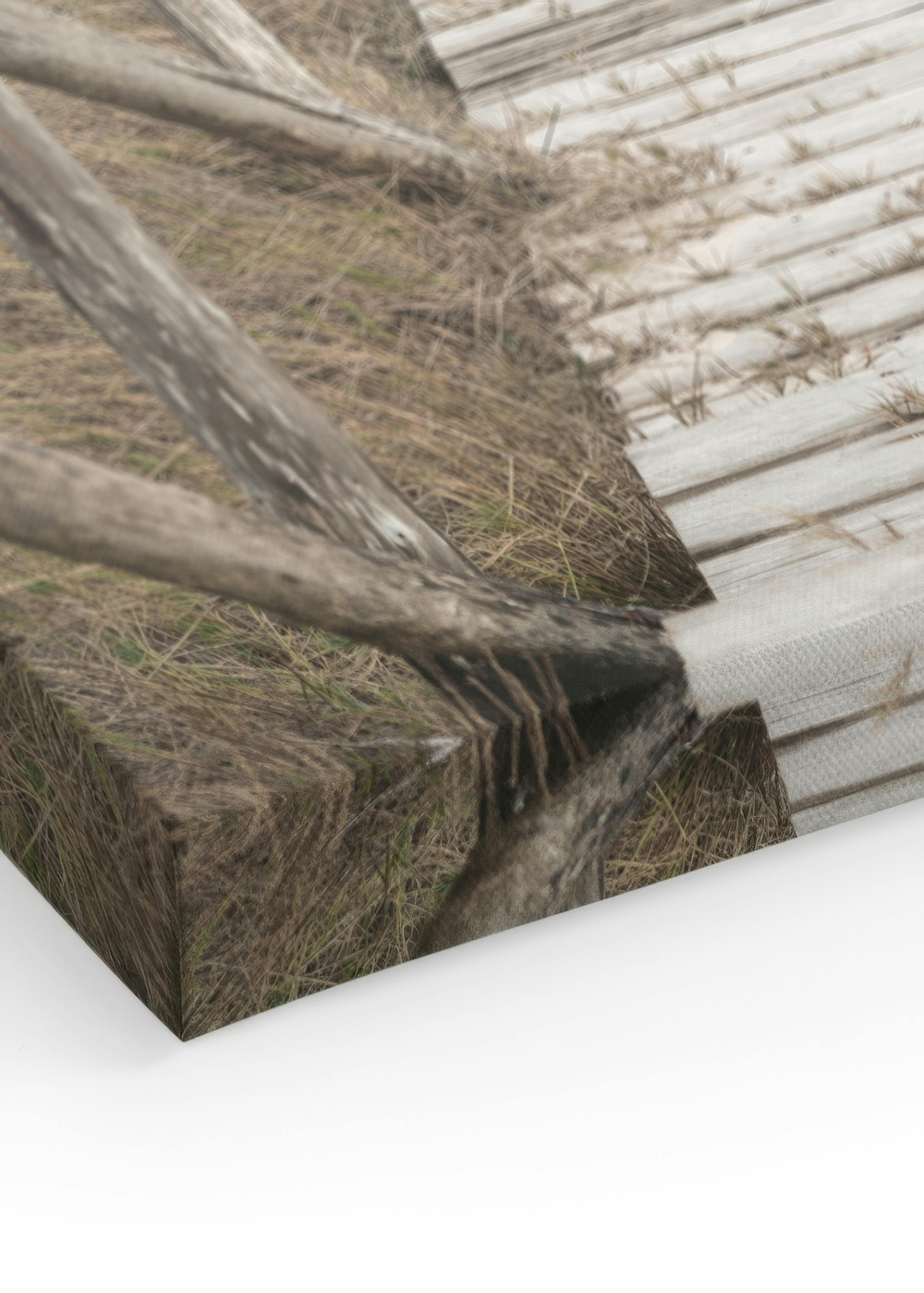 Hamptons Beach Boardwalk Canvas