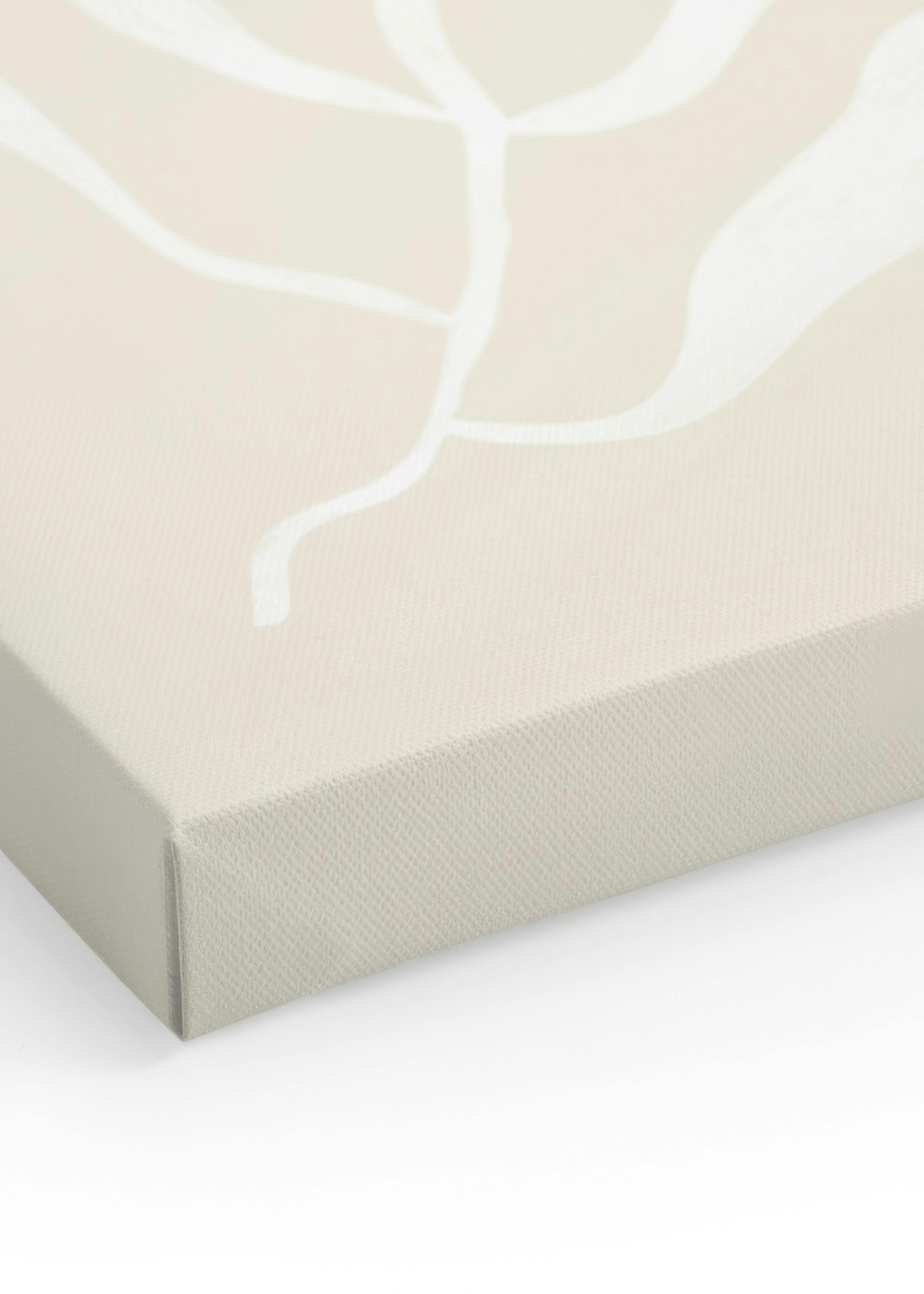 White Botanical No2 Canvas