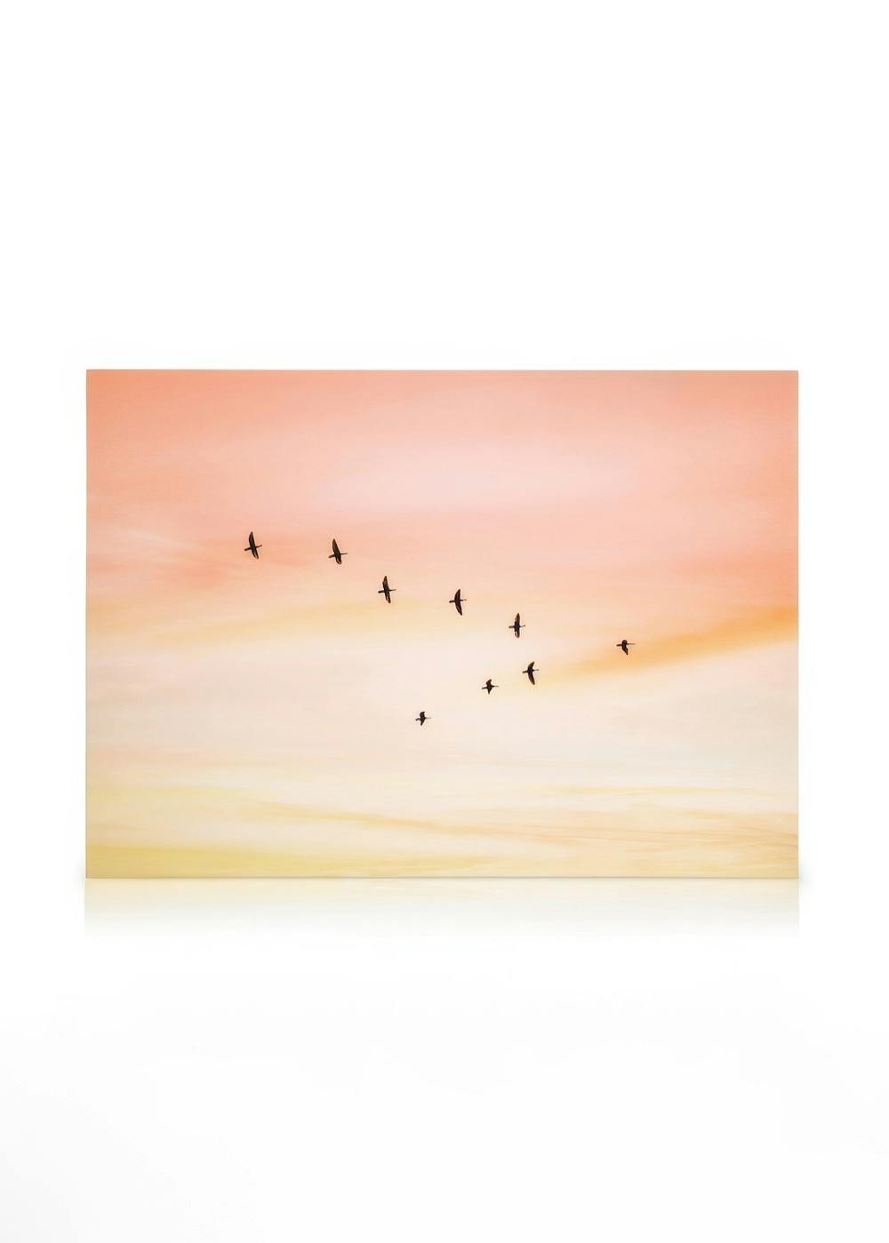 Leinwandbild mit schwarzem Vogelschwarm im V-Flug vor einem weichen, farbverlaufenden Himmel in Pastellrosa und Gelb.