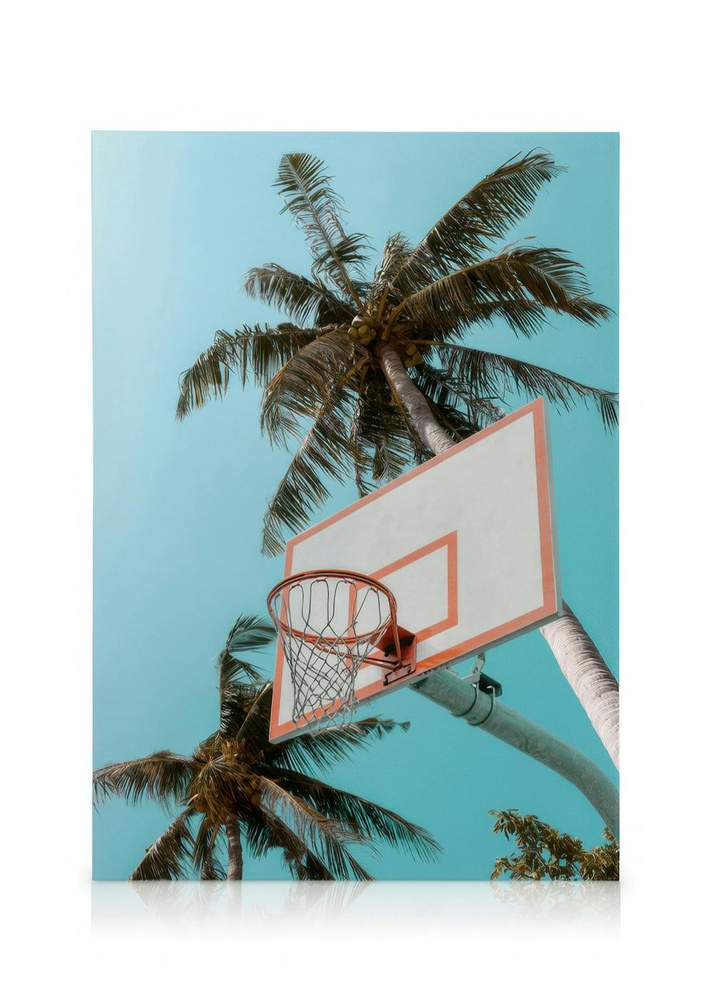 Canvas Schilderijen Basketball Palms Canvas (50x70 cm - Fotolijst Eiken)
