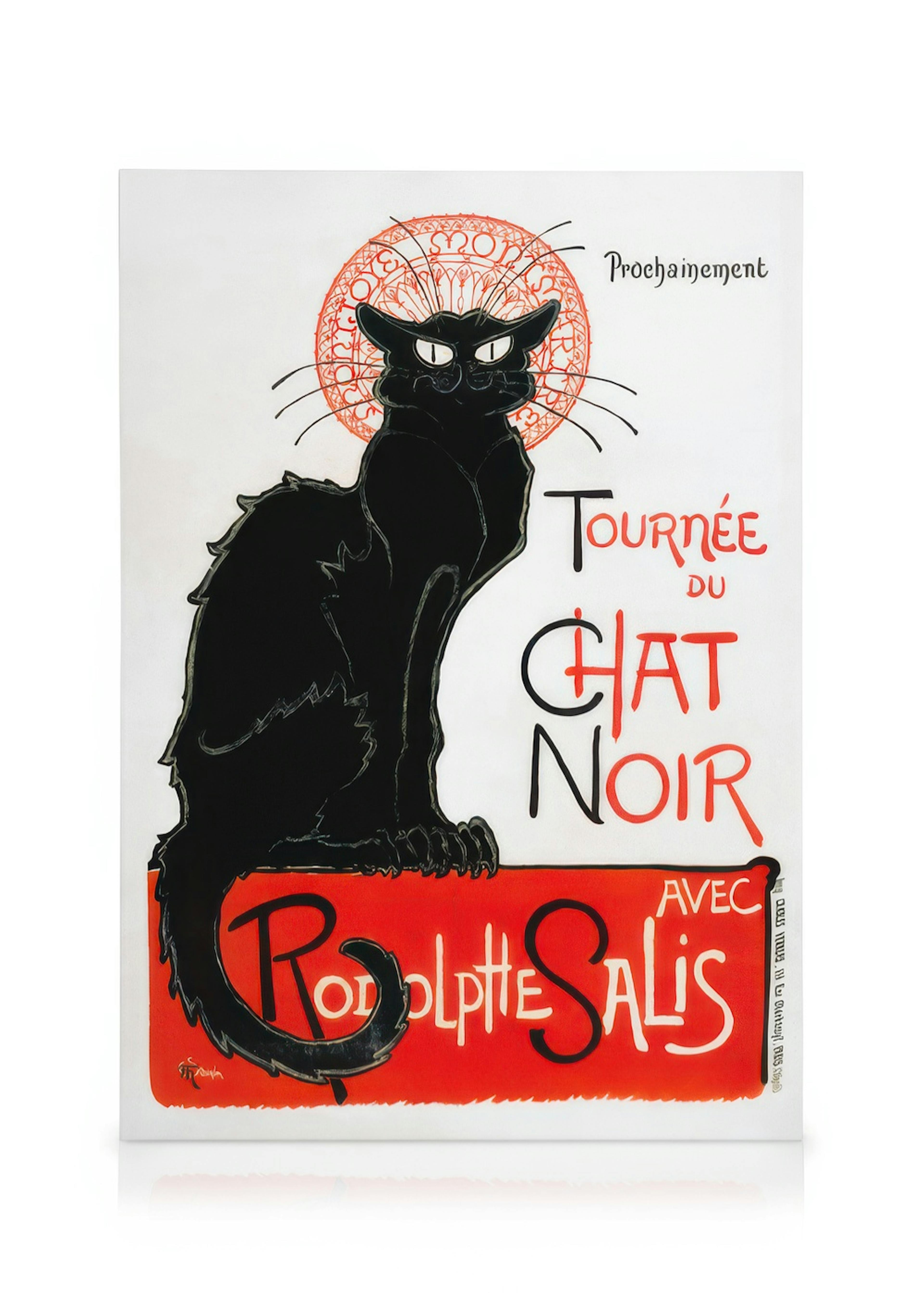 Chat Noir Lienzo 0