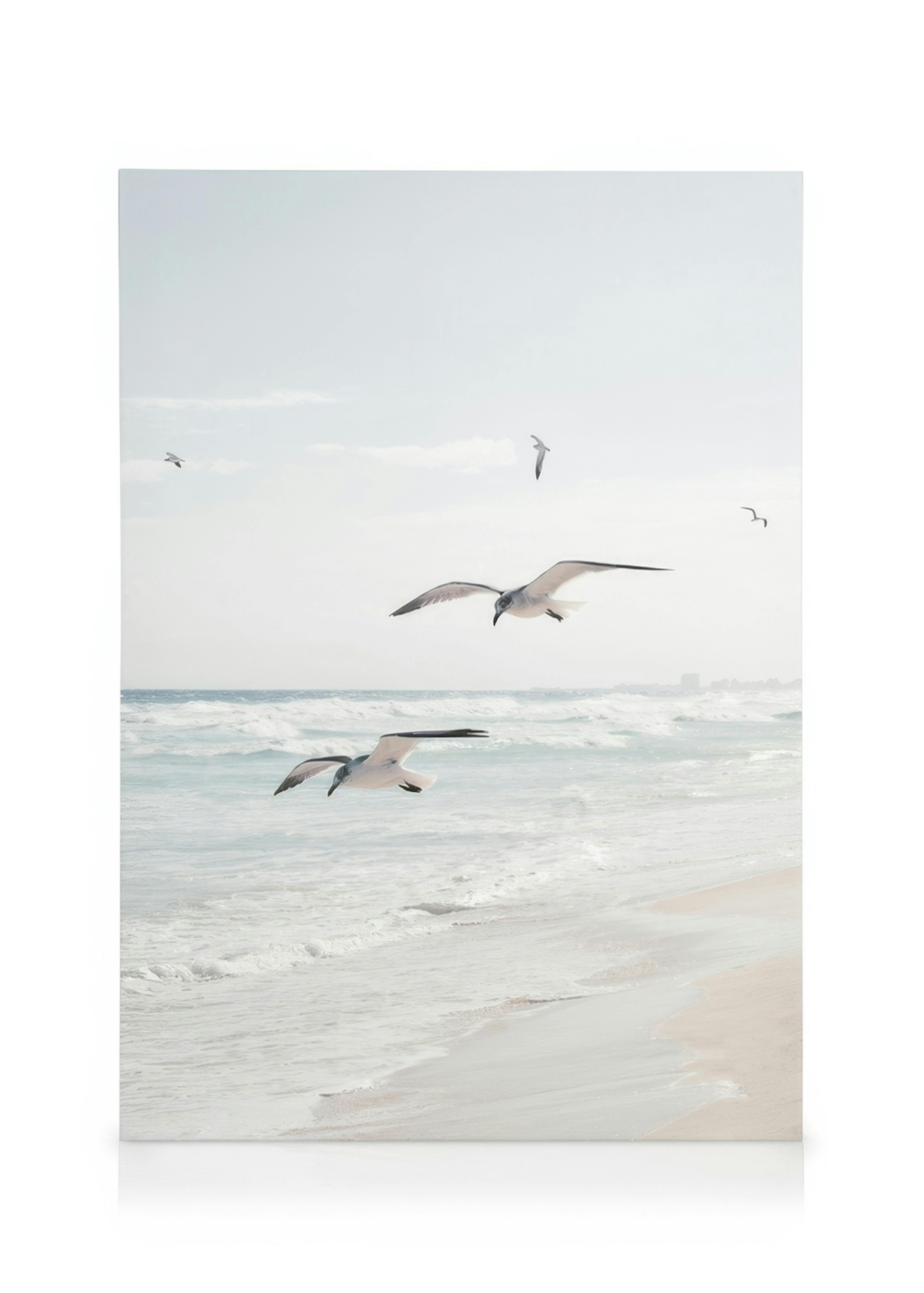 Seagulls over the Ocean Obraz na płótnie 0