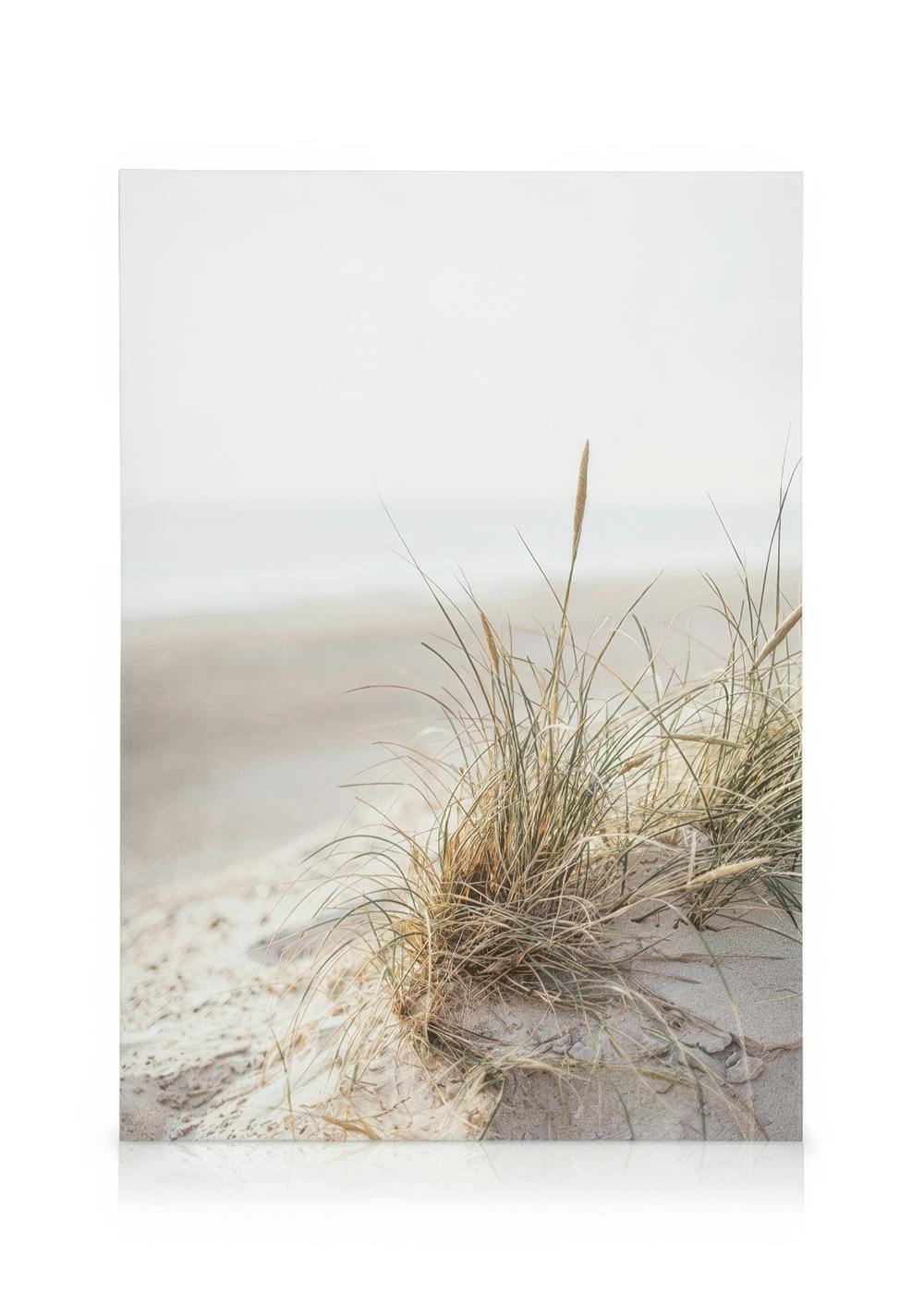 Dune Grass Stampa su Tela (30x40 cm - Cornice in rovere)- Spiagge
