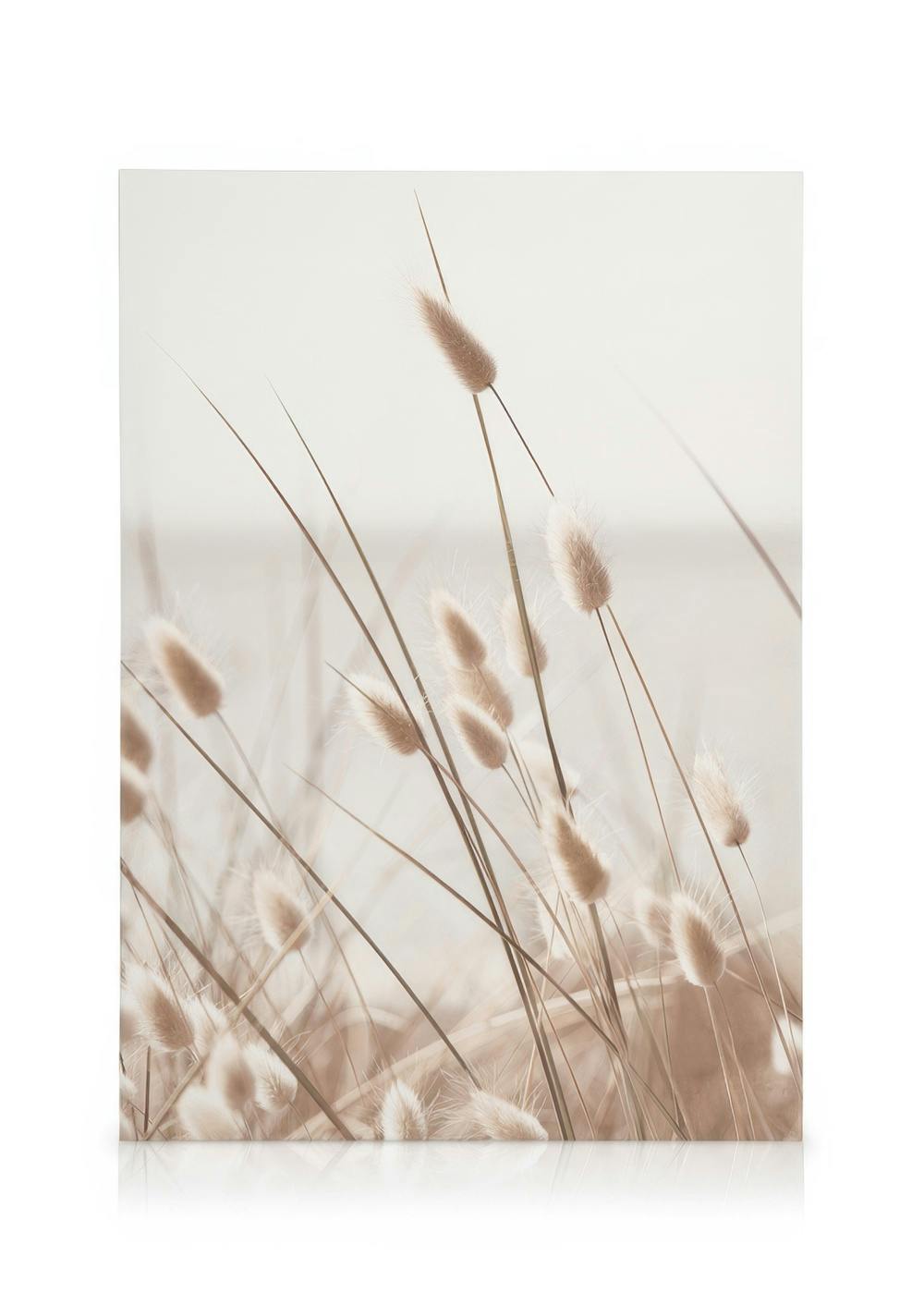 Canvas Schilderijen Beige Grass by the Sea Canvas (50x70 cm)