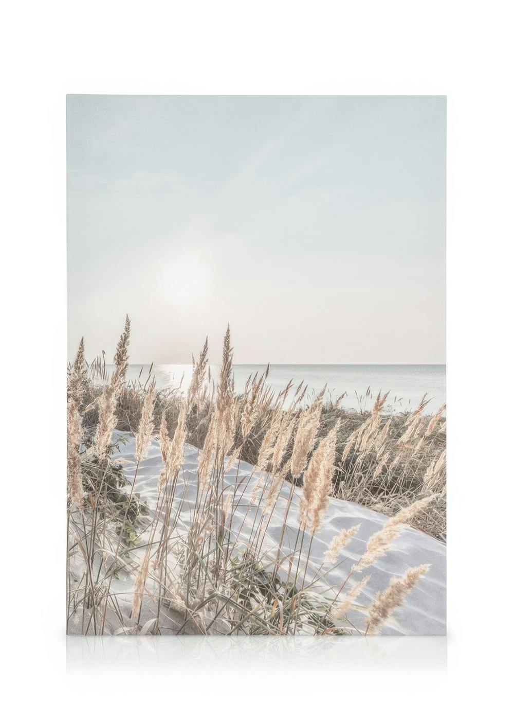 Obrazy na płótnie White Sand Coast Obraz na płótnie (50x70 cm - Ramka dębowa)