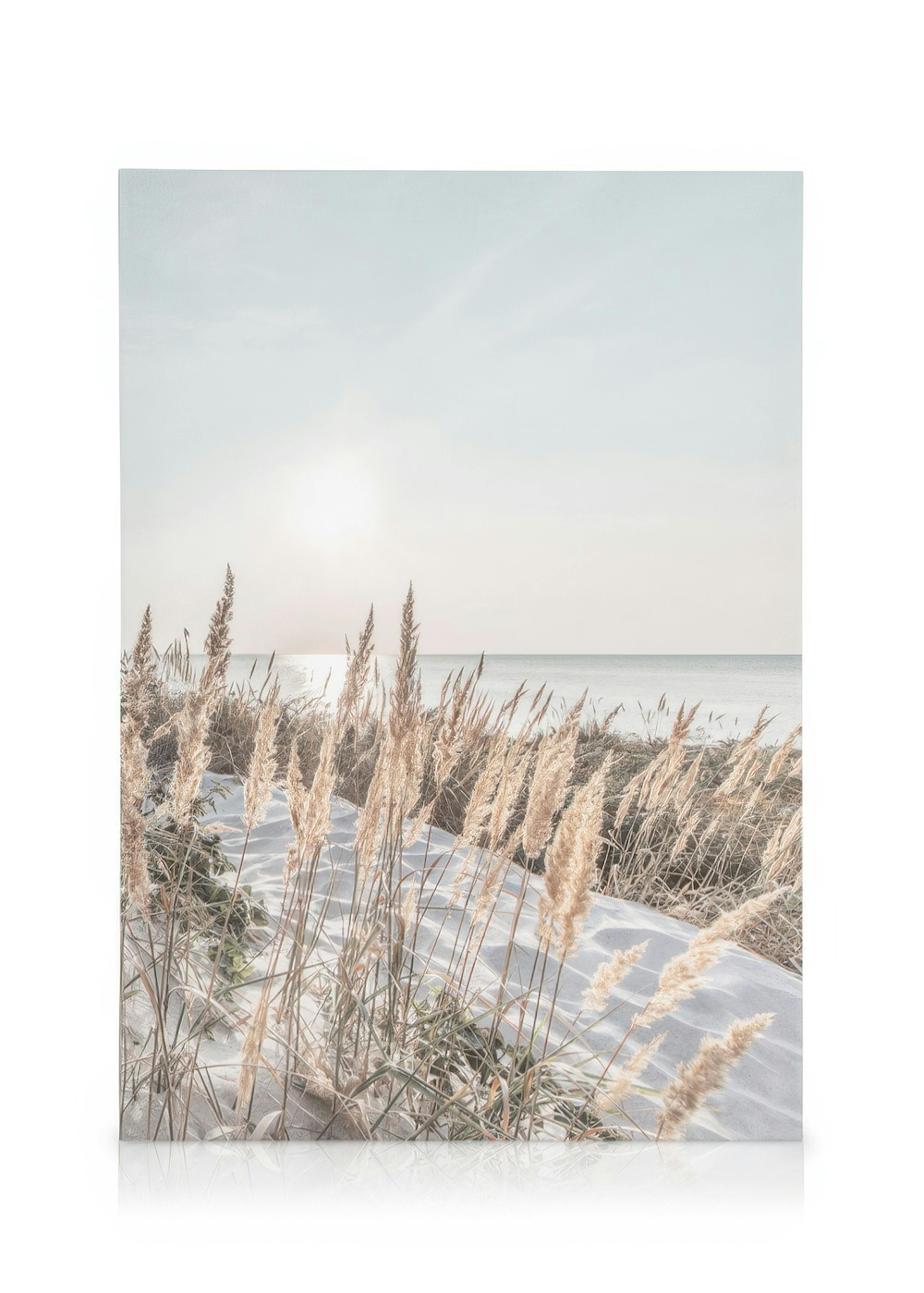 White Sand Coast Lienzo 0