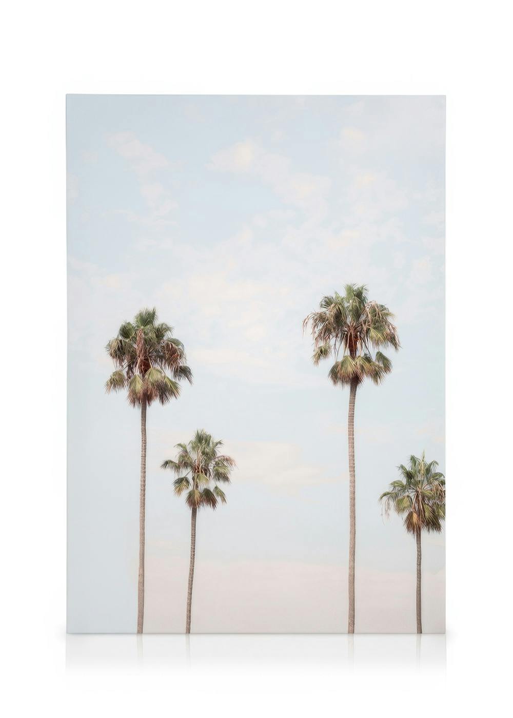 Canvas Schilderijen Palm Sky Canvas (30x40 cm - Fotolijst Zwart)