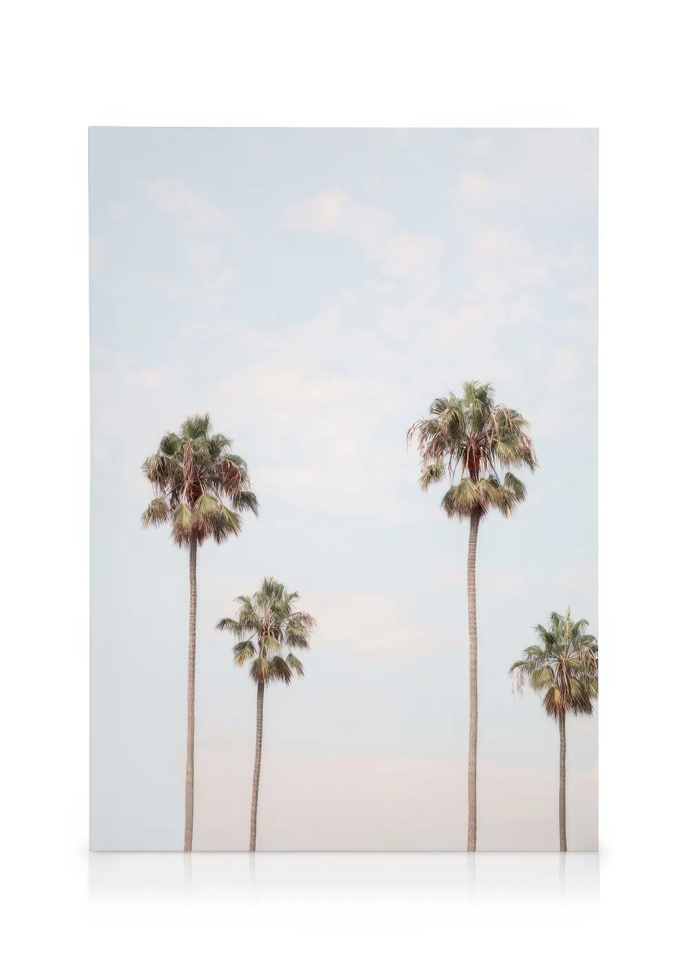Tranh Thiên Nhiên Palm Sky Canvas print