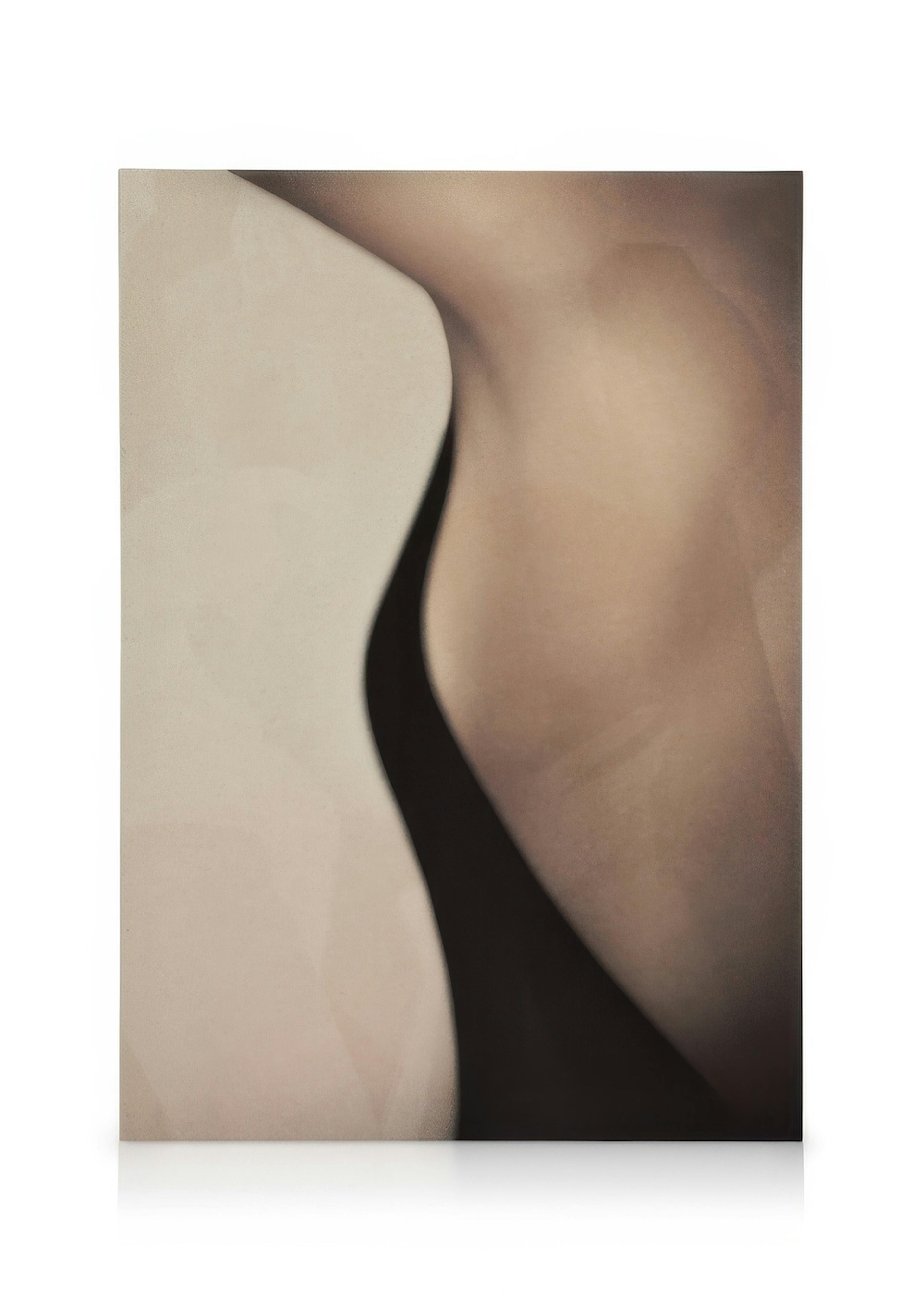 Abstract canvas met close-up van menselijk lichaam in beige, bruin en zwart met gebogen schaduwen en huidtinten.