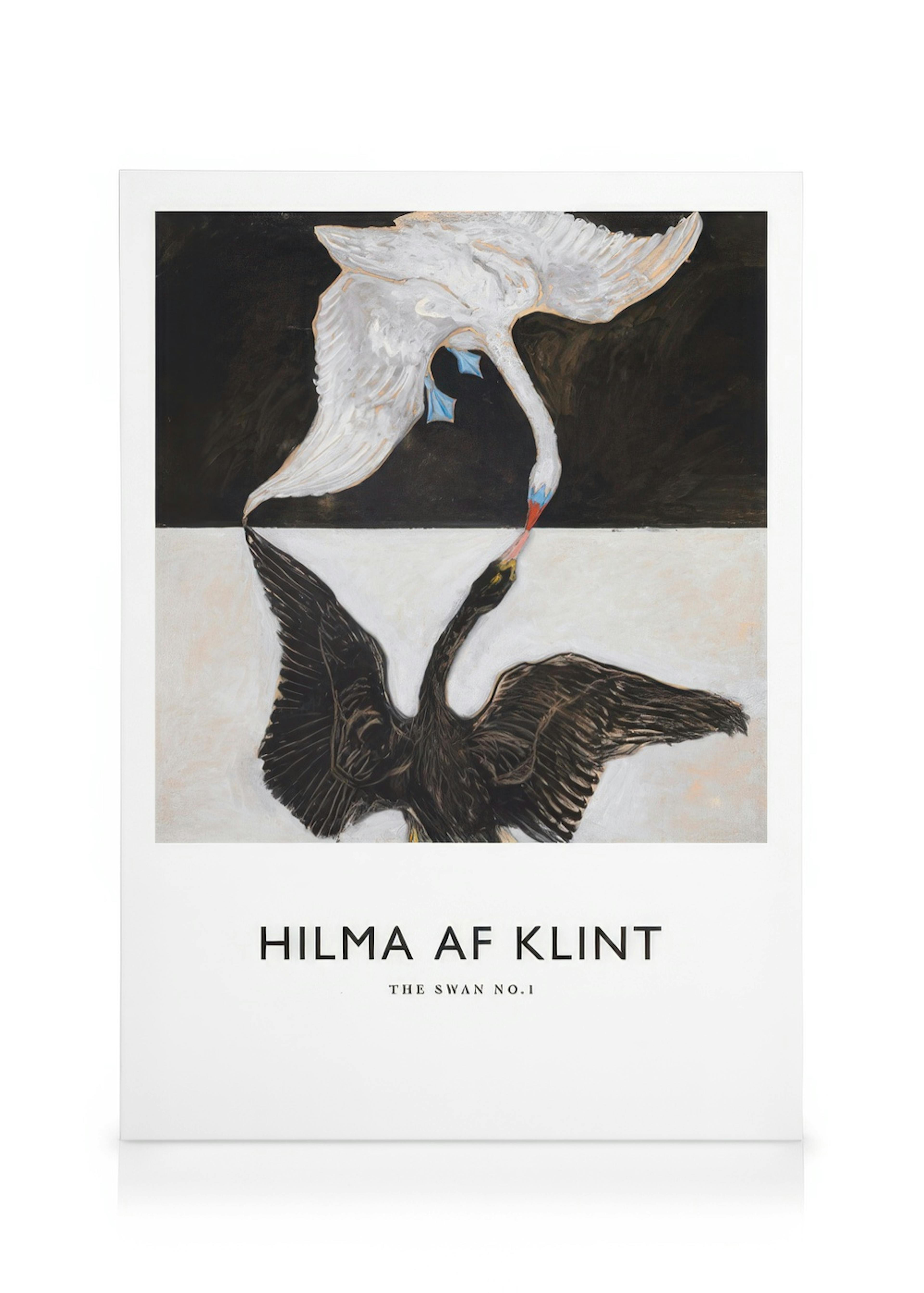 Canvas print of The Swan, No. 1 by Hilma af Klint, featuring a white swan and a black swan on a split background.