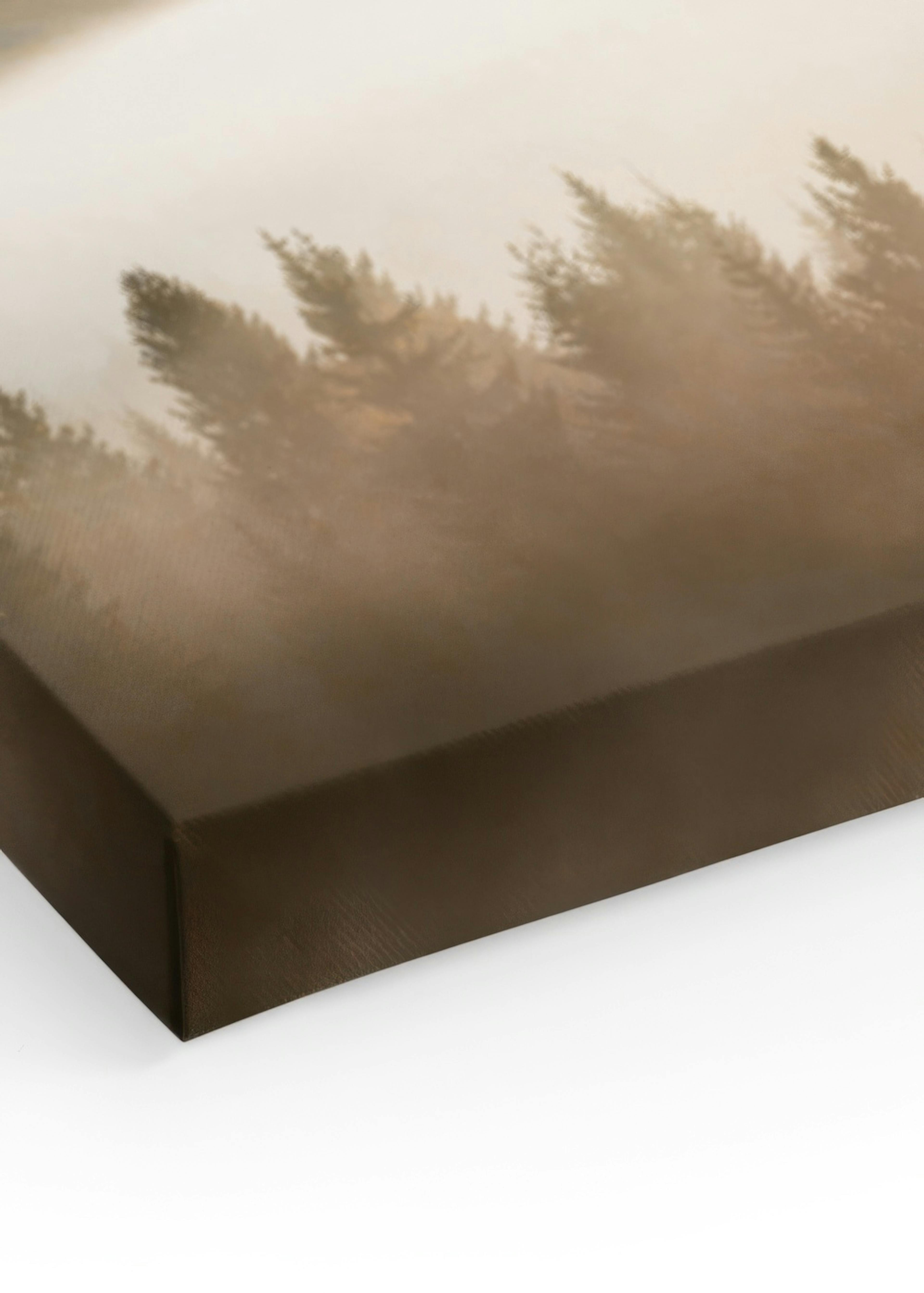 Misty Landscape Canvas print