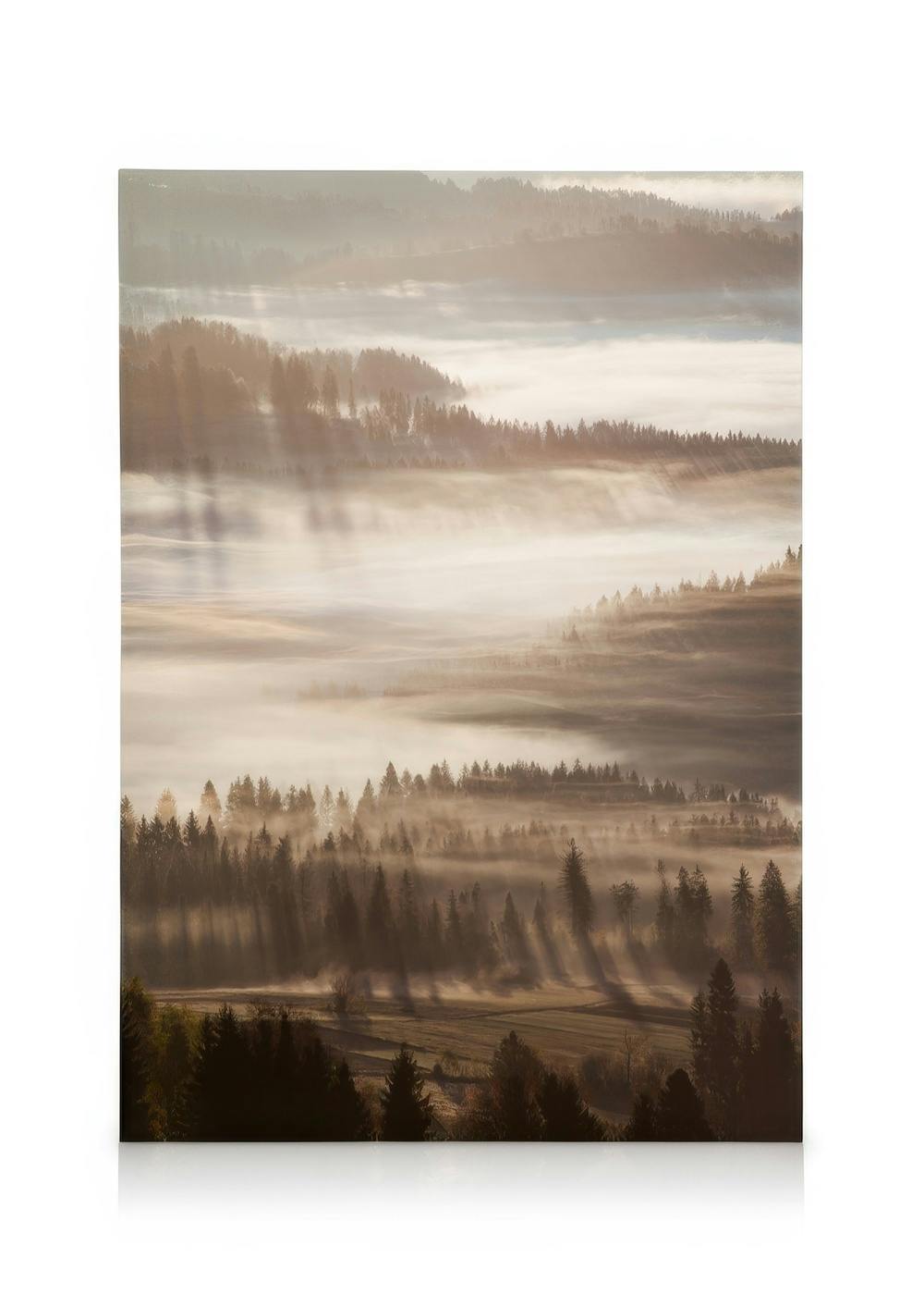 Sun Rays Through Mist Canvas (50x70 cm - Fotokaders Eiken)