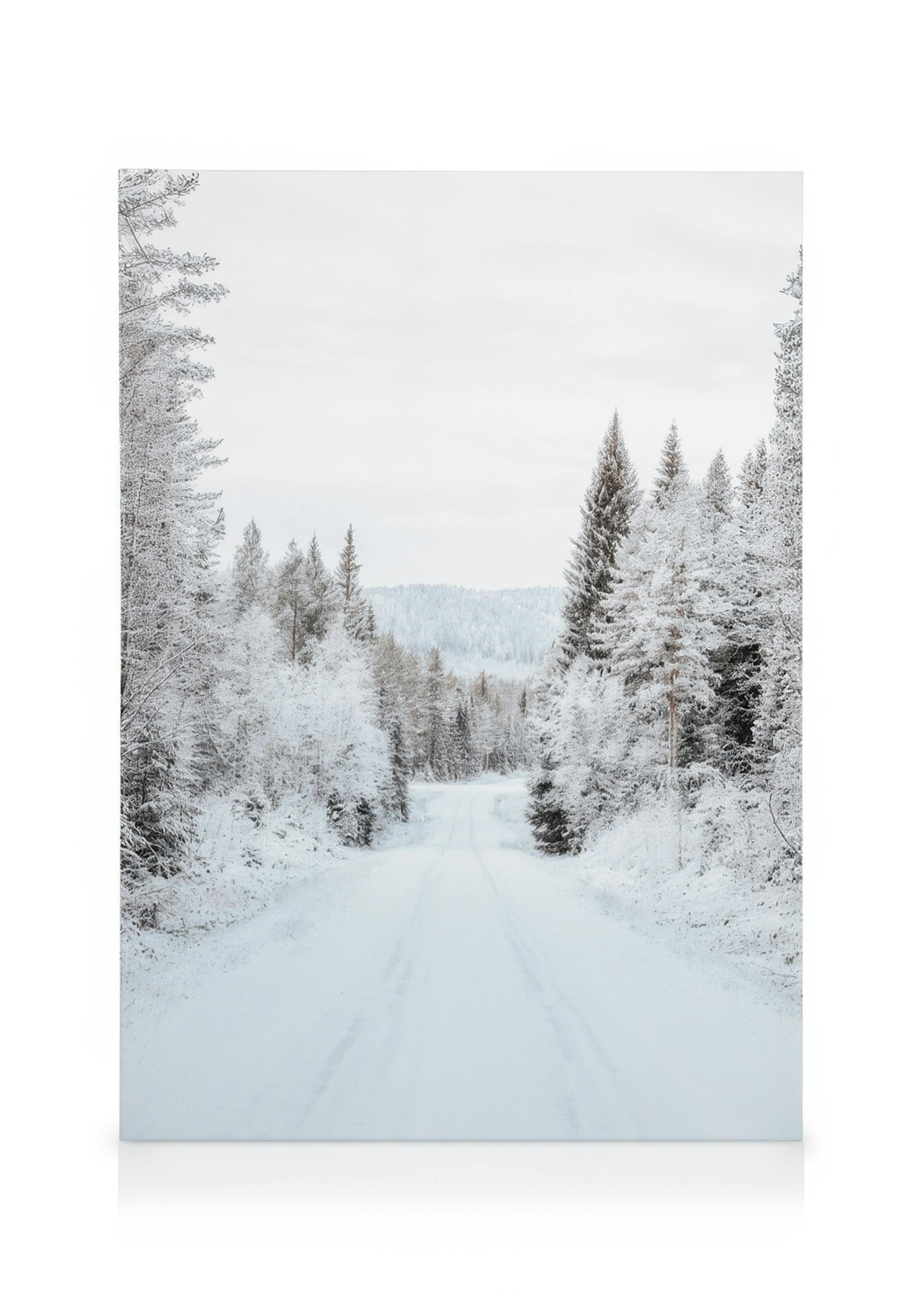 Snowy Forest Road Stampa su Tela 0