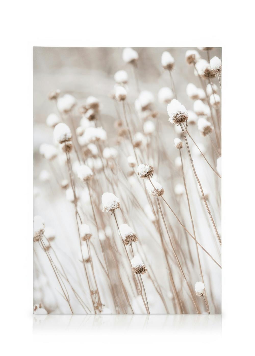 Telas decorativas Snow Covered Flowers Tela (70x100 cm)