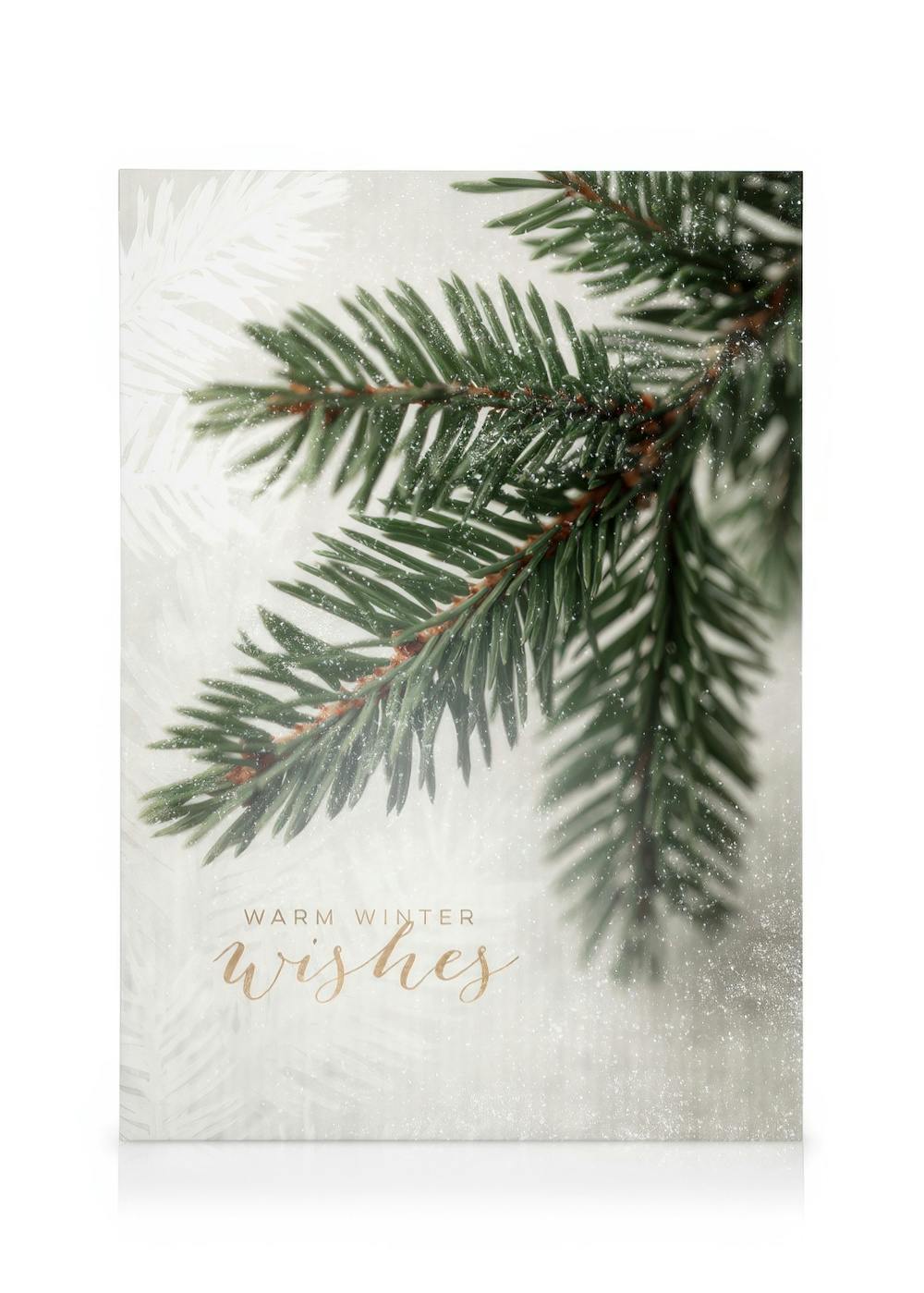 Spruce branch canvas print with green needles, white snow effect, and Warm Winter Wishes text.