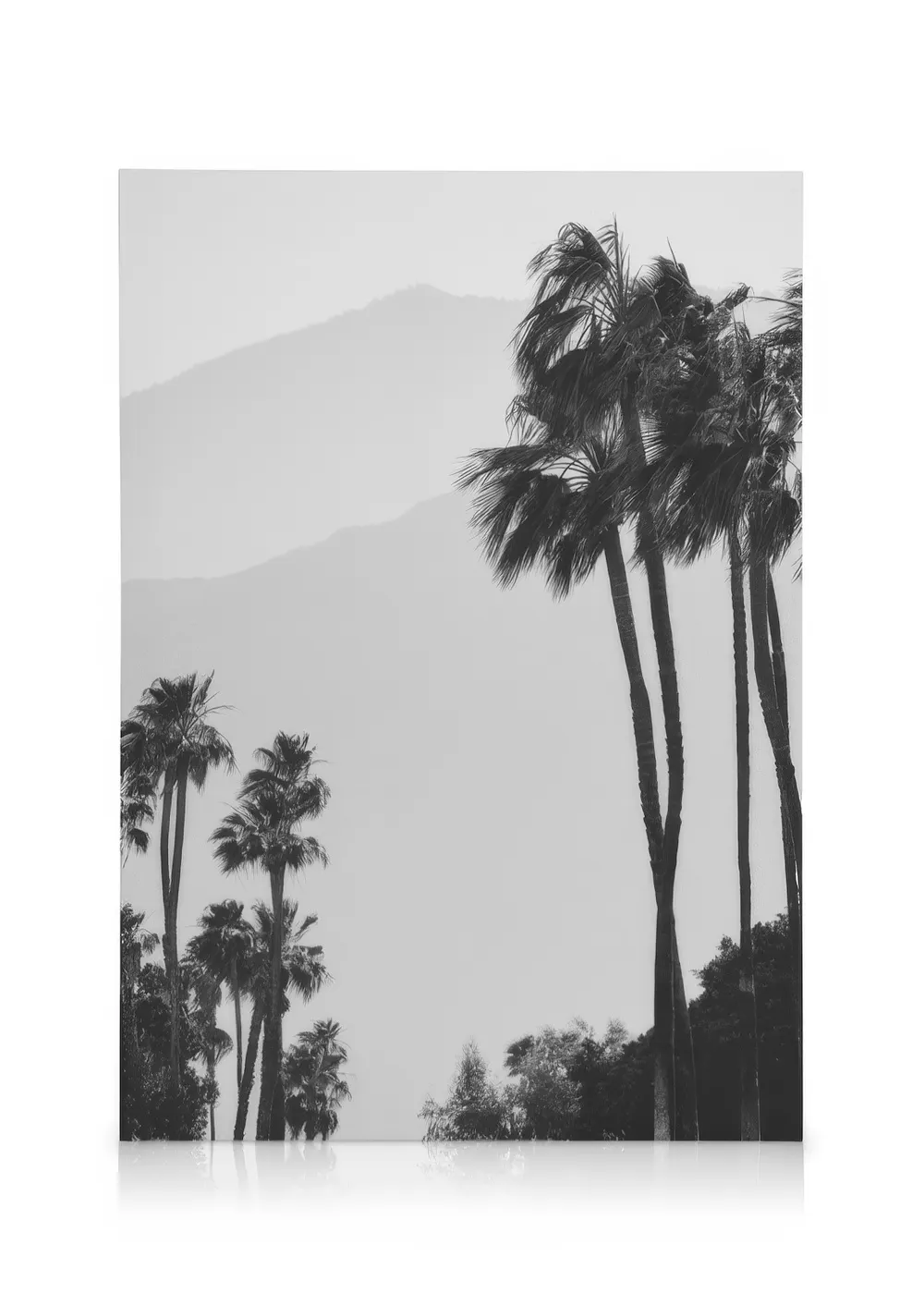 Black and white canvas print of tall palm trees against hazy mountains, natural landscape wall art.