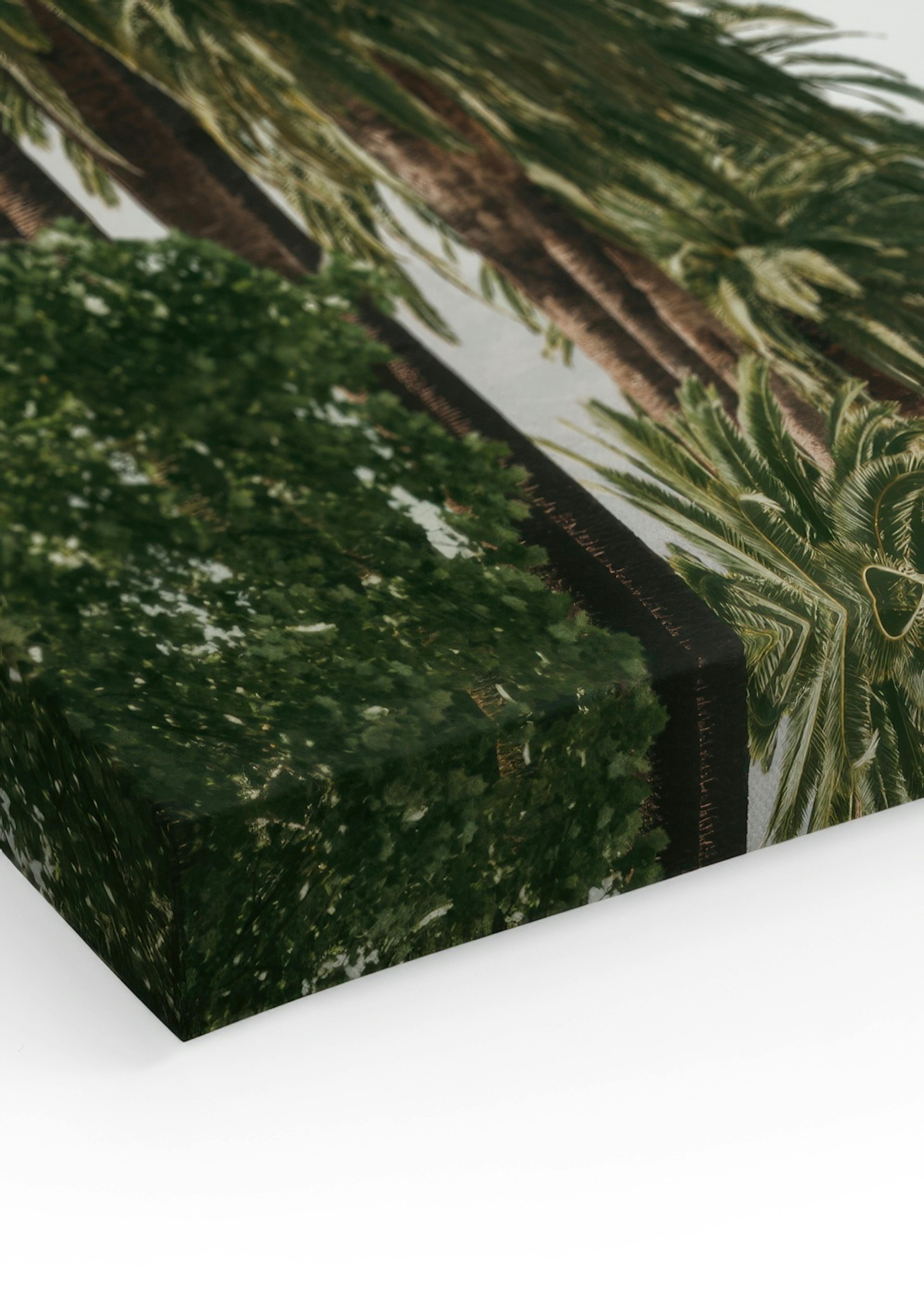 Iconic Hollywood Alley Canvas print