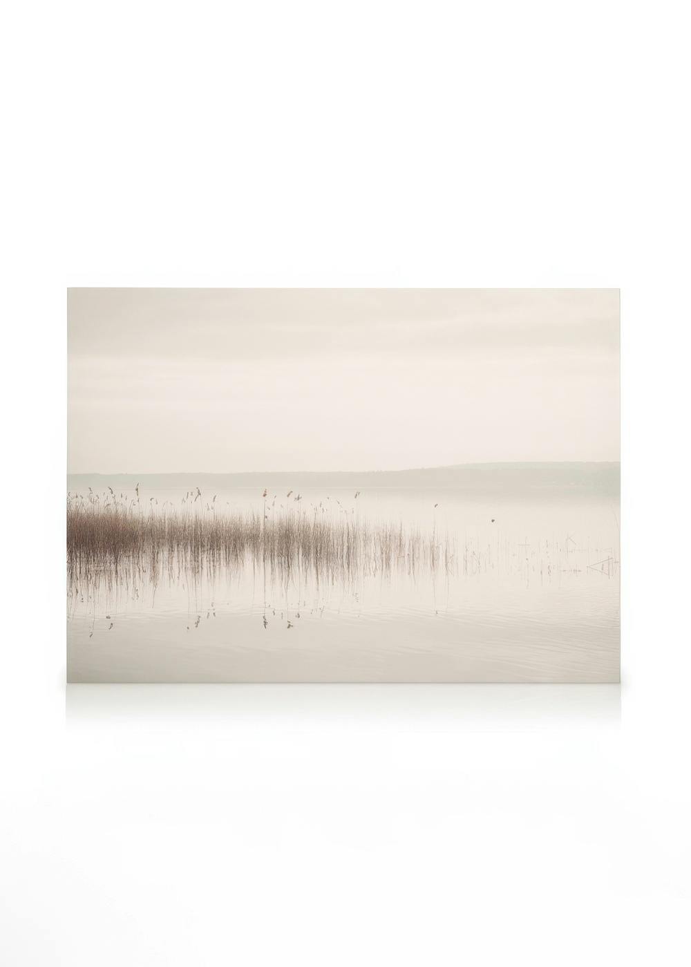 Telas decorativas Calm View Quadro em tela (30x40 cm)