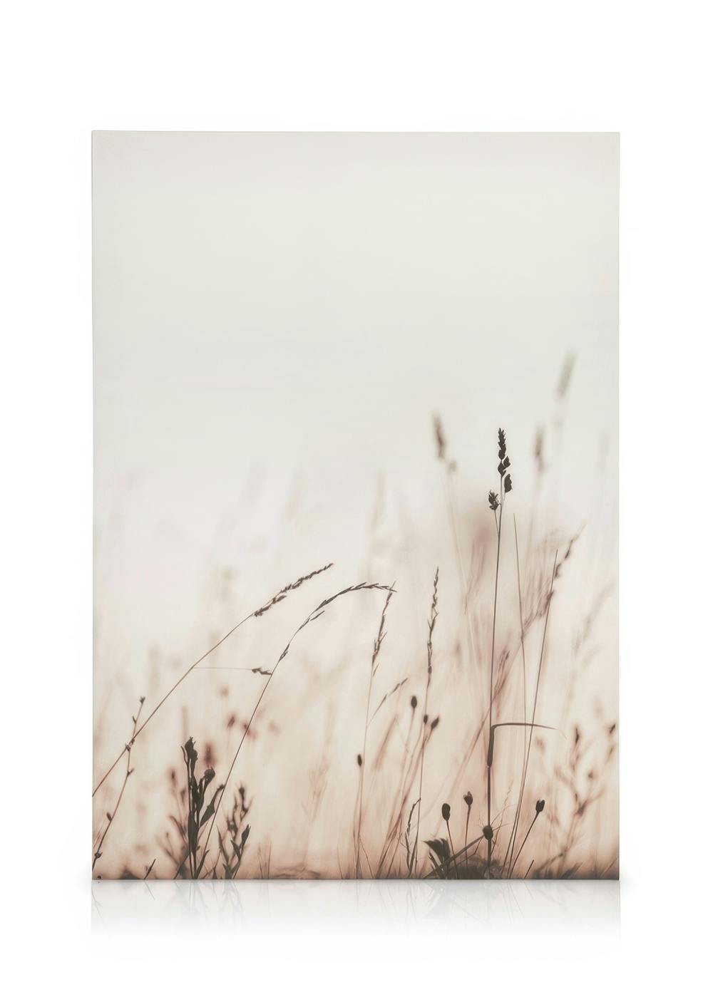 Leinwandbild mit Gräsern und Naturmotiv, filigrane Pflanzen vor hellem Hintergrund, zarte Brauntöne, Feld.