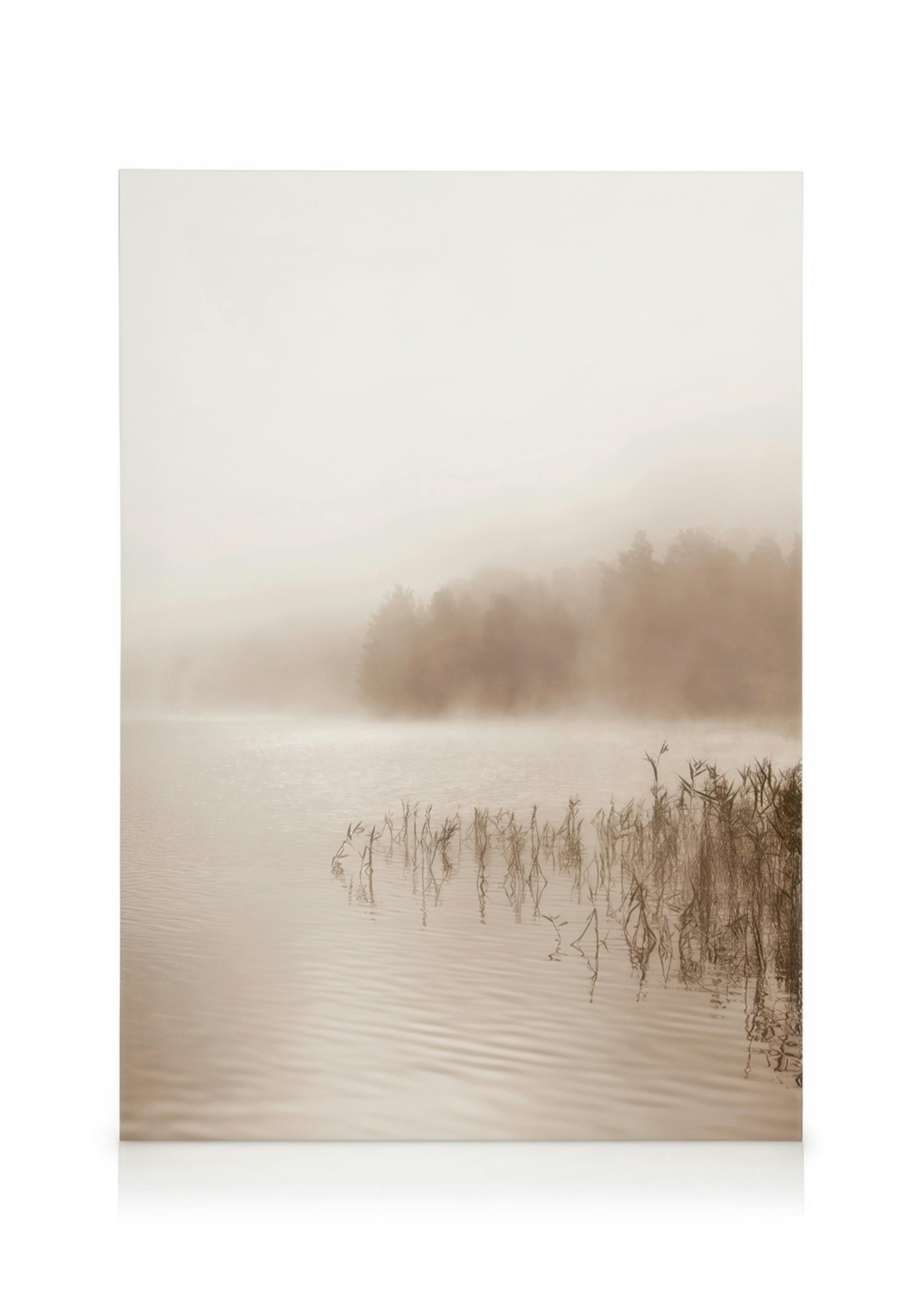 Calm Foggy Lake Canvas 0